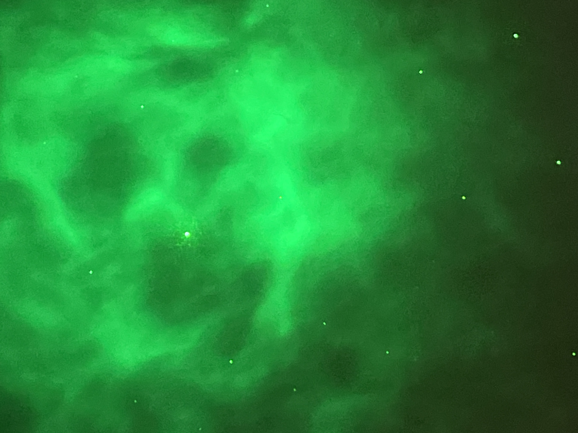 The image shows a green, nebulous background with varying intensities. The left side is lighter and more defined with cloud-like shapes, while the right side is darker. A scattering of small, bright dots that could be stars are visible throughout the image. It is difficult to determine a location within Nizhny Tagil, Russia, as the image does not contain recognizable landmarks or features that would pinpoint it to a specific place. Without such details, associating it with a location is impossible. The image does not depict any people, subjects, objects, actions, or interactions.