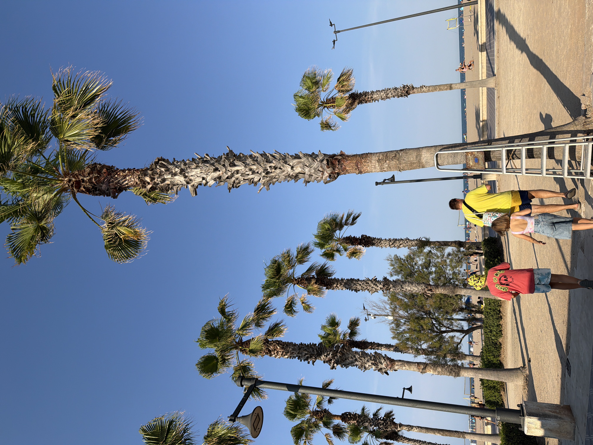 The image depicts a sunny day in Valencia, Spain, likely at the Malvarrosa Beach area, characterized by numerous palm trees lining a sandy promenade. In the foreground, two children are walking away from the camera. The child on the left is wearing a red t-shirt with a skull graphic and blue-and-white patterned shorts, topped with a yellow bucket hat. The child on the right is wearing a light pink tank top and denim shorts. Behind them, a person in a bright yellow t-shirt and blue shorts walks alongside a young child. A metal ladder leans against a palm tree near the edge of the promenade. In the mid-ground, more palm trees are visible, with a sandy area and a green hedge separating the promenade from the beach. The beach itself is populated with people, sun loungers, and volleyball nets, with the blue Mediterranean Sea forming the horizon. Streetlights are also present along the promenade. The sky is clear and blue.