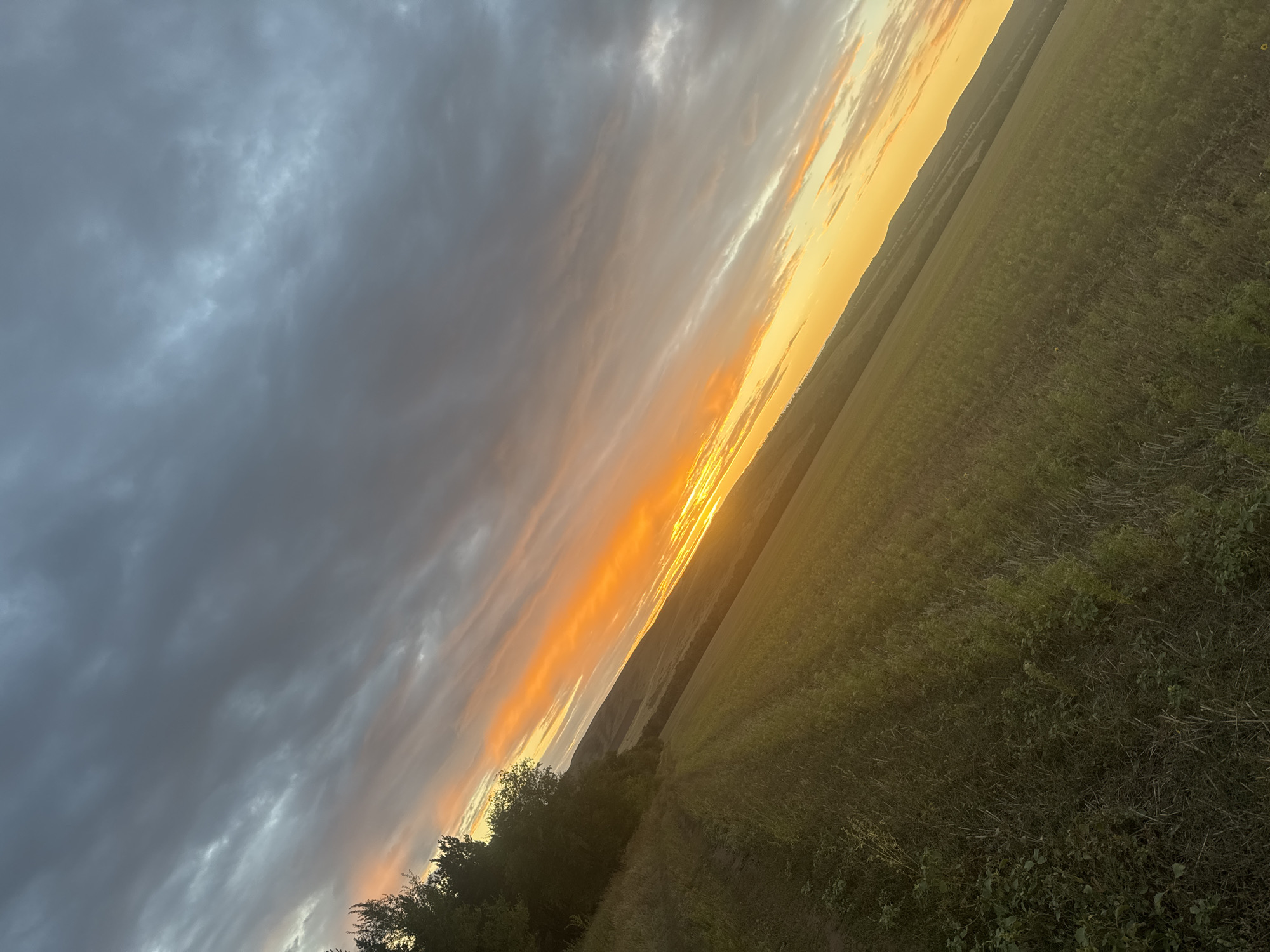 A wide-angle, low-angle shot captures a sunset over a rural landscape in Vasil'evka, Russia. The sky is a dramatic mix of dark, heavy clouds and bright streaks of orange and yellow from the setting sun. The sun itself is a brilliant sliver on the horizon, illuminating a swath of the sky. In the foreground, a green field slopes downward, with a dirt path running along its edge. To the left, a line of trees borders the field. The overall impression is one of a vast, open landscape bathed in the warm, fading light of day.