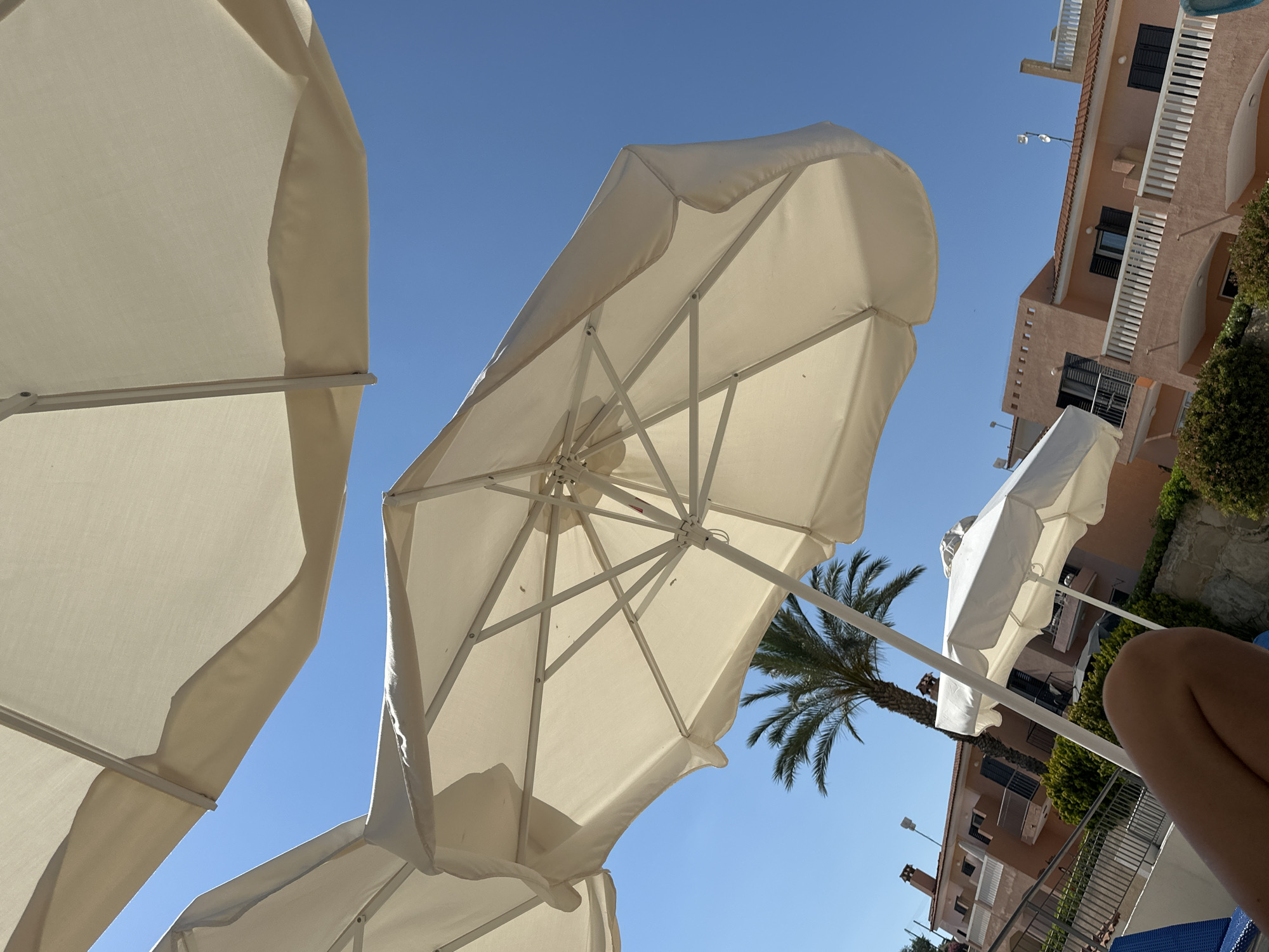 This is a low-angle, wide shot of a bright, sunny day at a resort or hotel in Peyia, Cyprus. Two large, cream-colored beach umbrellas dominate the foreground, angled towards the clear blue sky. The fabric of the umbrellas shows some wrinkles and the metal frame of the one in the center is clearly visible, with its spokes supporting the canopy. A palm tree with a tall, slender trunk and a bushy frond is visible in the mid-ground, just behind the central umbrella. Behind the palm tree, a light coral-colored building with multiple balconies and dark-shuttered windows is seen. The building has a tiled roof and white railings on the balconies. In the lower left corner, part of a person's legs and feet are visible, suggesting they are relaxing on a lounge chair. There is also a glimpse of a blue lounge chair. The scene is set outdoors, likely at a poolside or beachside location, with the bright sunlight casting shadows from the umbrellas onto the scene.