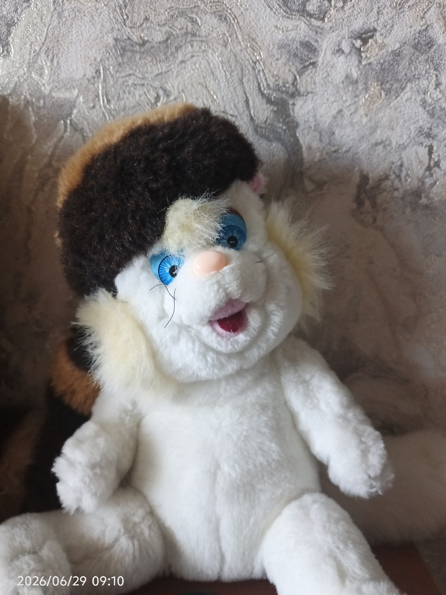 A plush toy cat with bright blue eyes and a pink nose sits on a textured, light-colored surface. The cat has white fur with patches of brown and tan on its head and tail. It wears a brown, fluffy hat with tan accents. The background appears to be a fabric-covered surface with a textured pattern. A timestamp reading "2026/06/29 09:10" is visible in the lower left corner.
