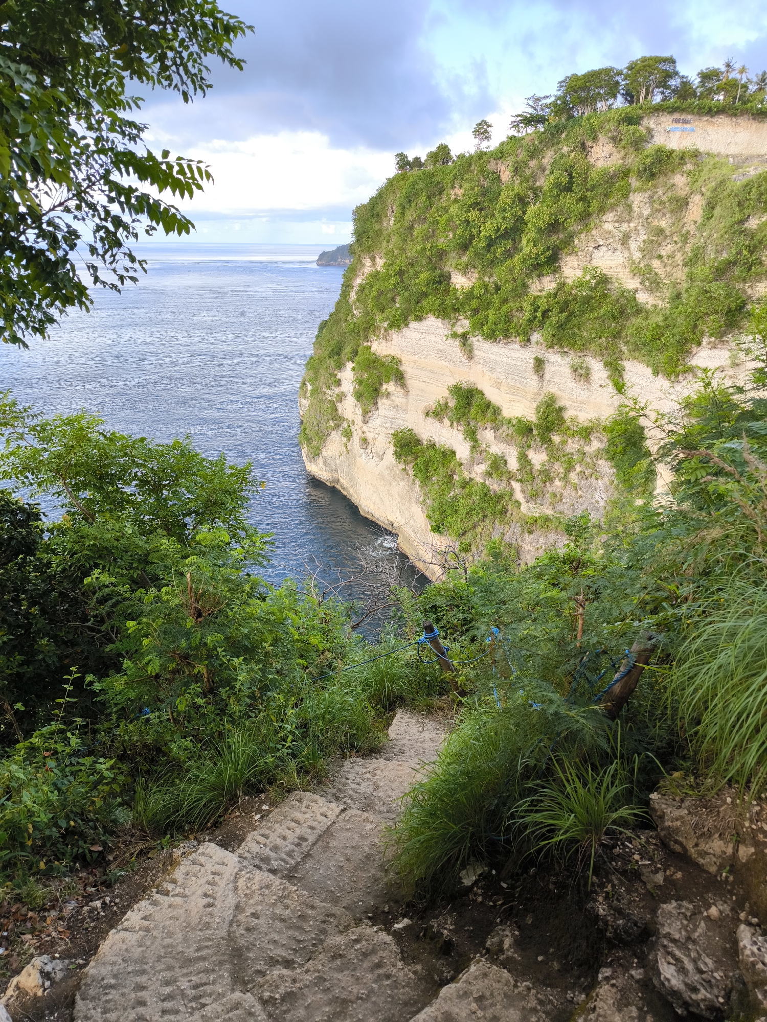 The image captures a coastal scene in Nusa Penida, Indonesia. A set of stone steps descends a path, bordered by lush green vegetation. To the right, a cliff face rises vertically, covered in vegetation, with exposed layers of sedimentary rock. The ocean stretches out, meeting the horizon under a sky with overcast clouds. A distant headland is visible, marking the end of the coastline. A makeshift rope railing runs along the right side of the path.