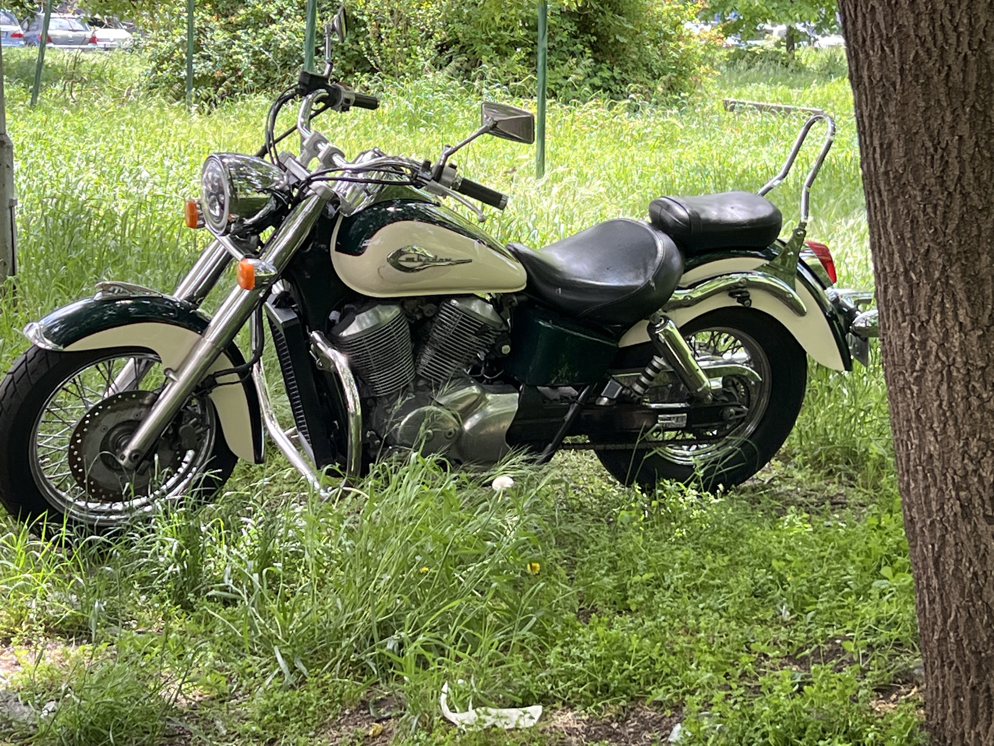 The image presents a Honda Shadow motorcycle parked on a grassy area, likely a park or undeveloped green space. The motorcycle is primarily dark green and cream-colored with chrome accents. It features a two-up seat, sissy bar, spoked wheels, and a front disc brake. The bike is partially obscured by tall green grass and weeds. A tree trunk is visible on the right side of the frame. The location is presumably in Burgas, Bulgaria.