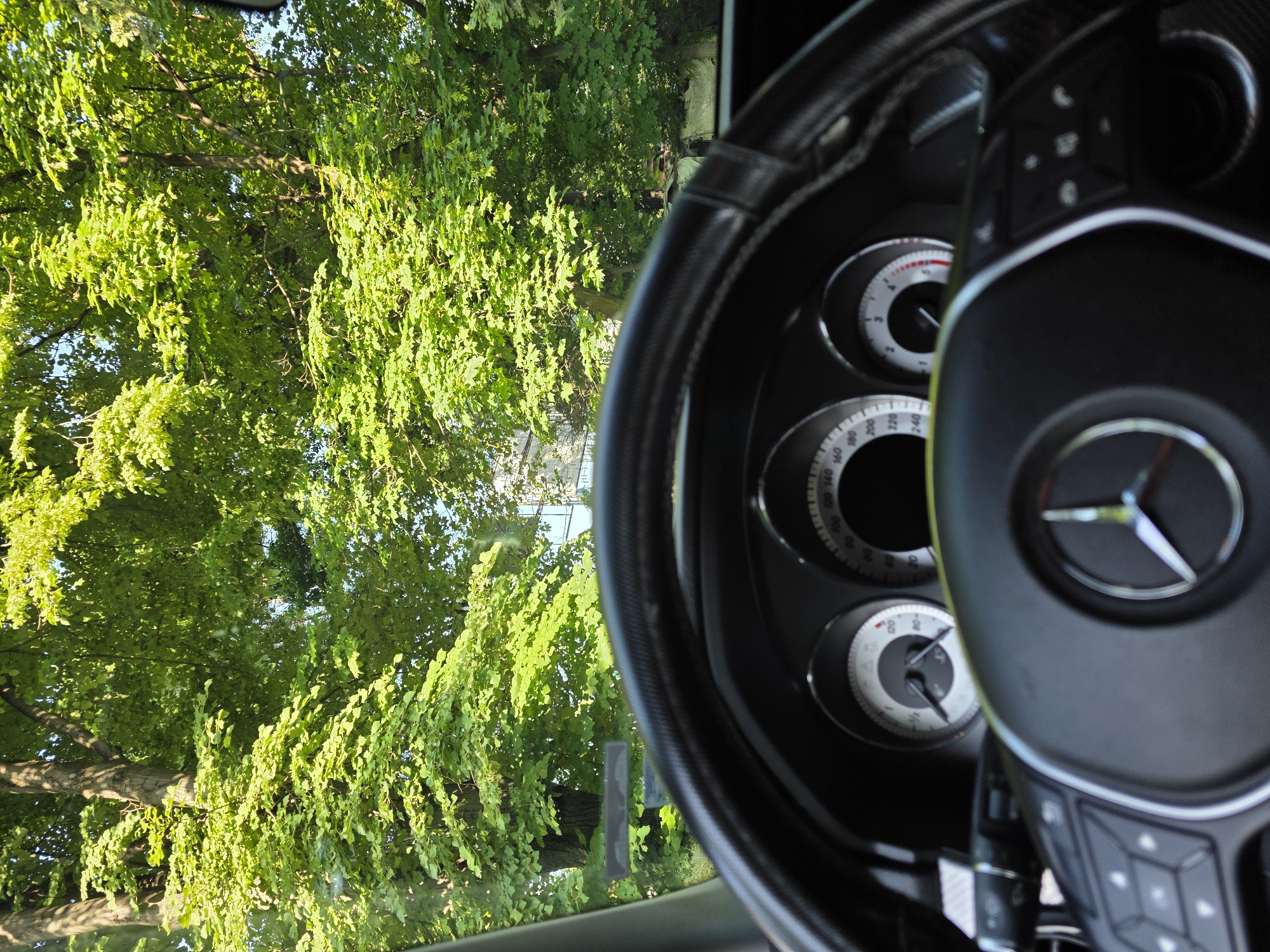 The image depicts the interior of a car, specifically the steering wheel and dashboard, with a view through the windshield of lush green trees. The steering wheel features a Mercedes-Benz logo. The dashboard includes several gauges, including a speedometer and tachometer. The exterior scene shows a dense tree canopy, likely indicating a park or tree-lined street. Given the prompt to provide a location in Plovdiv, Bulgaria, the setting is possibly within or near Tsar Simeon Garden or along a street in the city's urban green spaces.