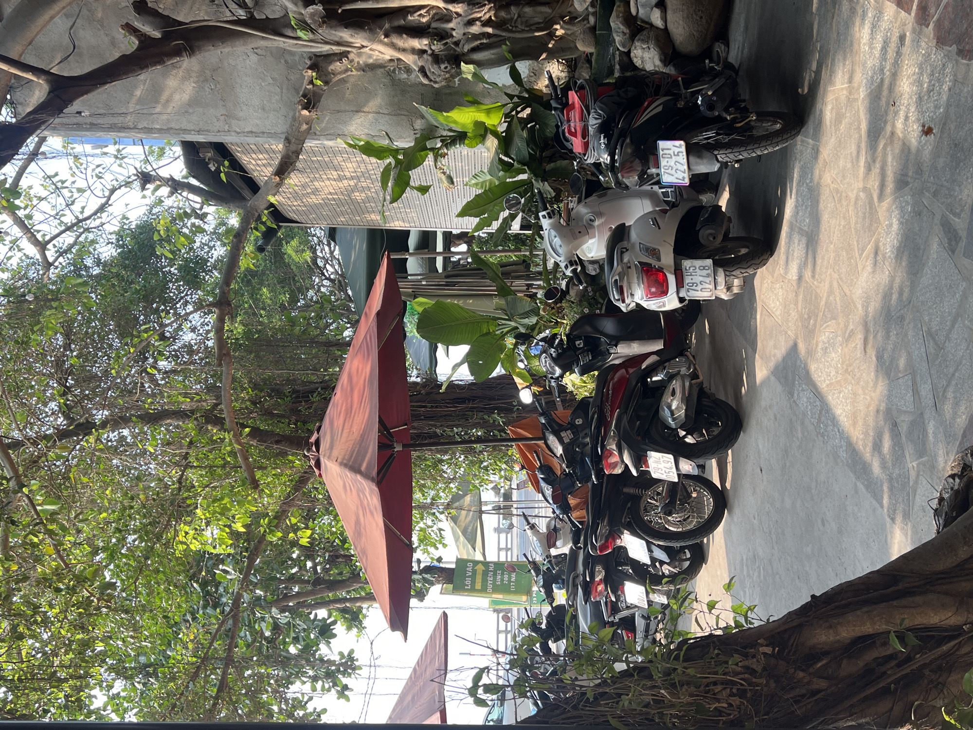 The image captures an outdoor parking or entrance area, likely for a business in Bắc Nha Trang, Vietnam, under bright daytime sunlight. A long row of numerous motorcycles and scooters, predominantly in dark colors like black and red, along with one white scooter, are neatly parked on a paved ground of large, irregularly shaped stone tiles. Strong, distinct shadows are cast by the vehicles and surrounding elements, indicating a clear and sunny day.
To the left, dense, lush green trees dominate the scene, forming a natural canopy overhead. Thick tree trunks and exposed roots are visible, some intertwining along the ground and a concrete wall. A prominent, large red patio umbrella, appearing closed or partially closed, stands in the mid-ground amidst the foliage. Further back, a vertical green sign with white text is visible, reading "LÕI VÀO" (Entrance), "DUYÊN HÀ", "SINCE", and "2007/ (17 NA", likely indicating the establishment's name and founding year.
Several Vietnamese license plates are discernible on the parked motorbikes, including "79-01 427.54", "79-H5 0248", and "79-NZ 054.97". The "79" prefix on these plates is a key location cue, indicating Khánh Hòa Province, which encompasses Nha Trang. No people are visible, presenting a serene and orderly scene focused on the vehicles and natural surroundings.
