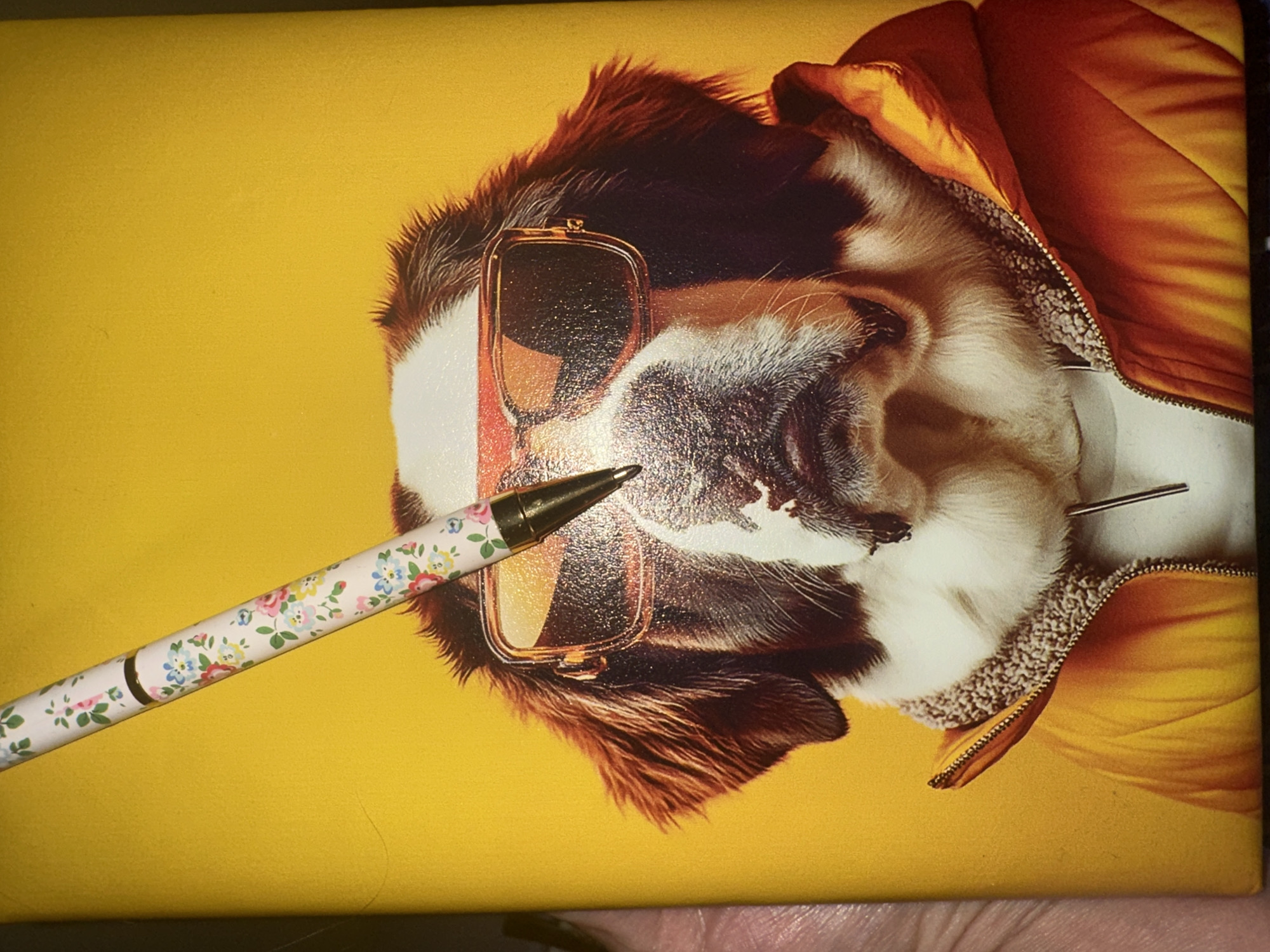 The image is a close-up of a postcard or a similar printed item, featuring a Saint Bernard dog wearing sunglasses and a puffer jacket. The background is a solid, bright yellow. The dog's face is the central subject, with its fur detailed in shades of brown, white, and black. The sunglasses are large and reflective, with a golden frame. The puffer jacket is a vibrant orange and is partially zipped, revealing a fuzzy gray lining.
A pen with a floral pattern of pink, blue, and yellow flowers is positioned diagonally across the image, with its tip pointing towards the dog's sunglasses. The pen appears to be resting on the surface, creating a sense of scale.
The lighting is even and appears to be indoors, with no shadows indicating a specific time of day or natural weather conditions. There is no visible text on the postcard itself. The overall impression is whimsical and stylish, with the dog presented in a fashionable, anthropomorphic manner.