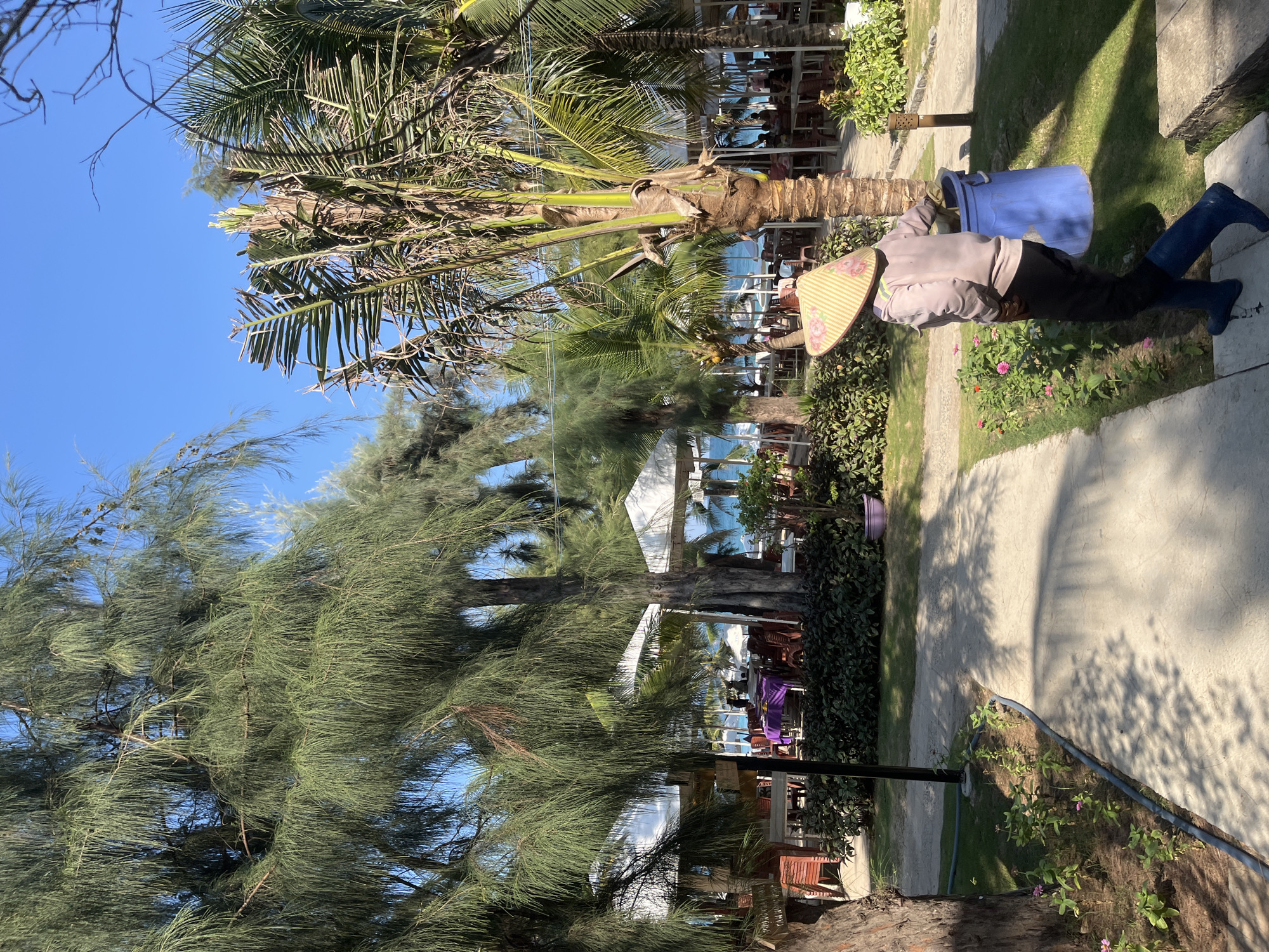 A person wearing a conical hat and blue boots walks down a paved path in a tropical setting, carrying a blue bucket. The path is lined with grass and small plants. In the background, there are palm trees and other lush vegetation. Beyond the trees, there are white tents and tables set up, suggesting an outdoor dining area or resort. The ocean is visible in the distance under a clear blue sky. The scene appears to be located in Dong Ninh Hoa Ward, Vietnam.