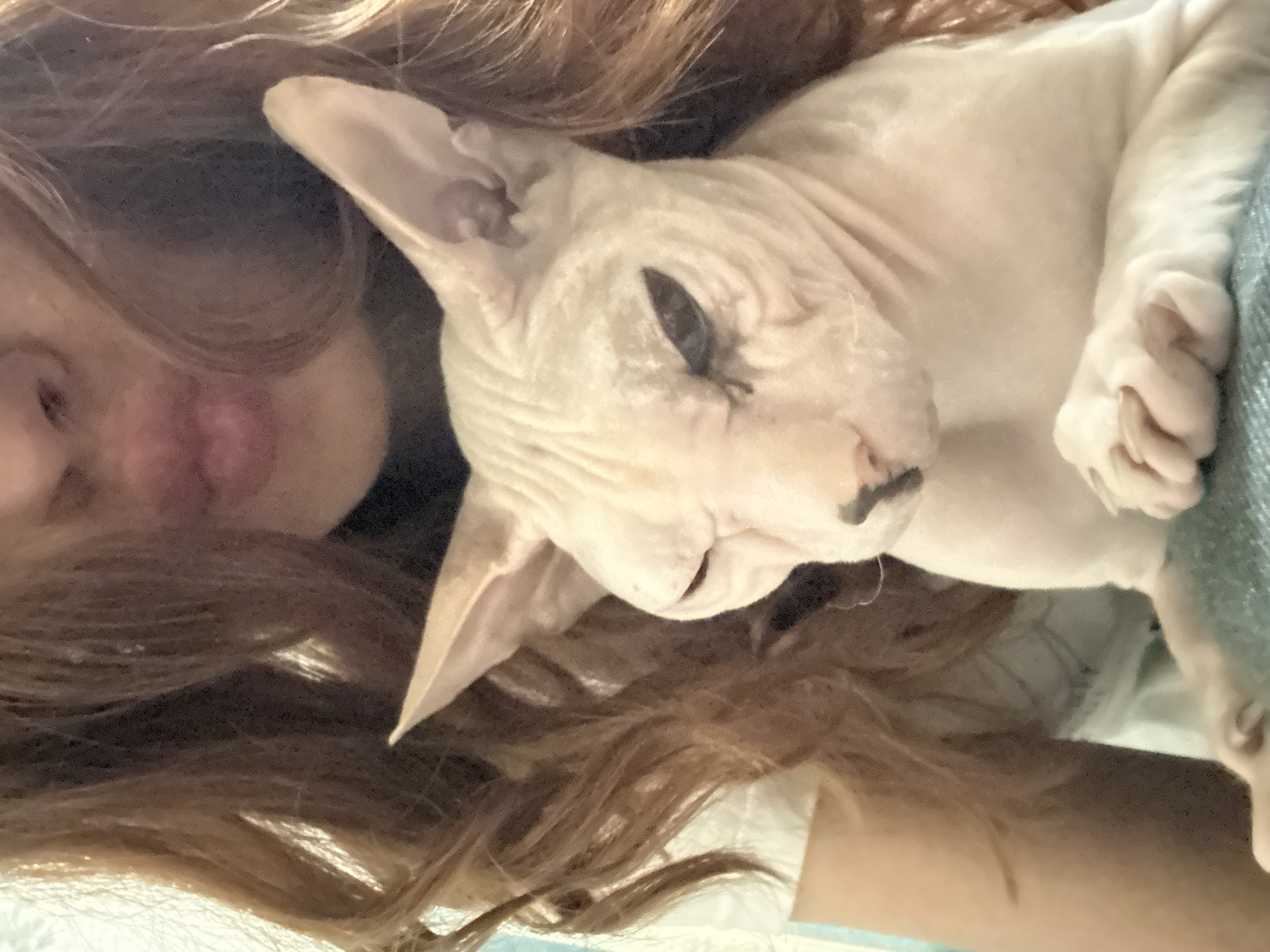 A close-up shot shows a person with long, wavy brown hair holding a Sphynx cat. The person's mouth is pursed, and their chin is visible above the cat. The Sphynx cat is light pink with visible skin folds and wrinkles. Its eyes are partially closed, giving it a sleepy or squinting appearance. The cat's paws are visible and appear relaxed. The background is out of focus, but hints of a light blue surface are present beneath the cat. The image does not contain information that can be used to determine its location in Togliatti, Russia.