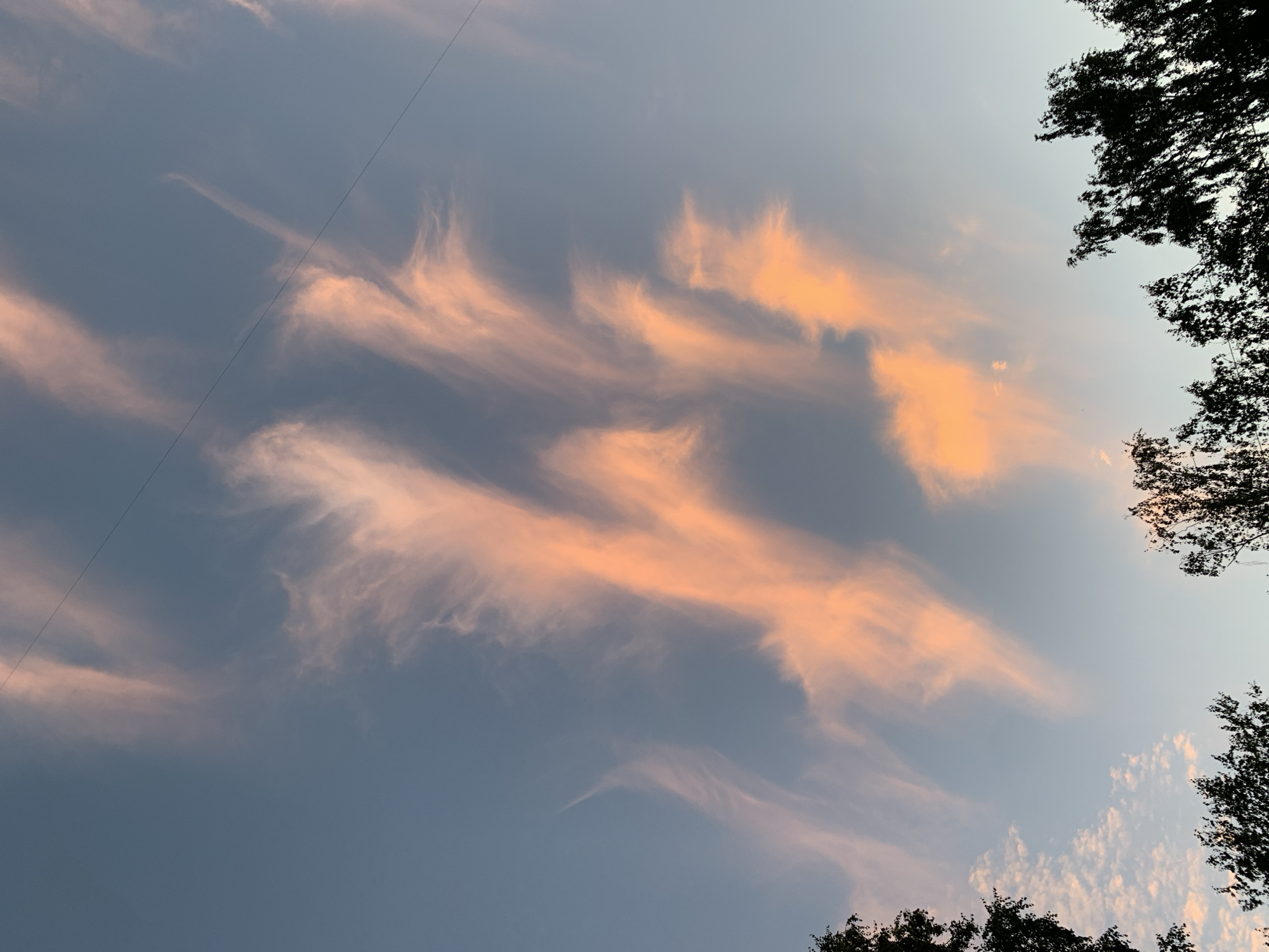 In the city of Asha, Russia, a photograph captures a sky filled with wispy, pink-tinged clouds during what appears to be sunset or sunrise. The clouds are elongated and streaky, forming abstract patterns against a gradient of blue sky. A thin, dark wire stretches horizontally across the upper portion of the image. Silhouetted against the sky at the bottom are the dark tops of trees, their branches creating a jagged line along the horizon. The overall scene is one of natural beauty, with the soft colors of the clouds contrasting with the dark foliage and the stark wire. There are no people or discernable actions taking place.