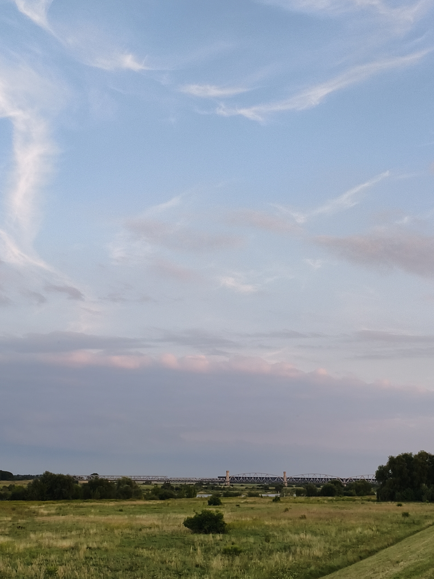 The image depicts a panoramic view of a landscape with a bridge spanning a body of water in the distance. The foreground is dominated by a grassy field, with scattered trees and shrubs. The sky is a soft blue, with wispy clouds tinged with pink and grey, suggesting either dawn or dusk. The bridge, a prominent structure, appears to be a railway bridge, characterized by its lattice-work design supported by pillars. The overall scene conveys a sense of natural tranquility, with the man-made structure of the bridge offering a point of interest in the vast expanse of nature. It is likely the view of the Vistula River with the railway bridge in Tczew, Poland.