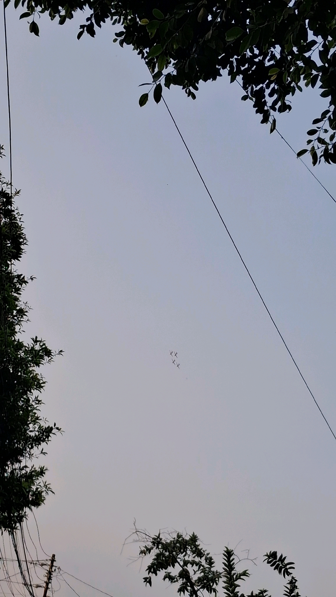 An outdoor, low-angle shot captures a pale, overcast sky partially framed by dark green foliage and a power line. In the upper left and right corners, branches with leaves overhang the scene. A single black power line bisects the sky diagonally from the upper right to the lower left. In the middle of the frame, a formation of four small, dark aircraft is visible, appearing to fly in a diamond pattern. The scene is devoid of any explicit human presence, and no identifiable landmarks are visible to confirm its location in Yogyakarta, Indonesia. The overall impression is one of a muted, slightly hazy daytime sky.