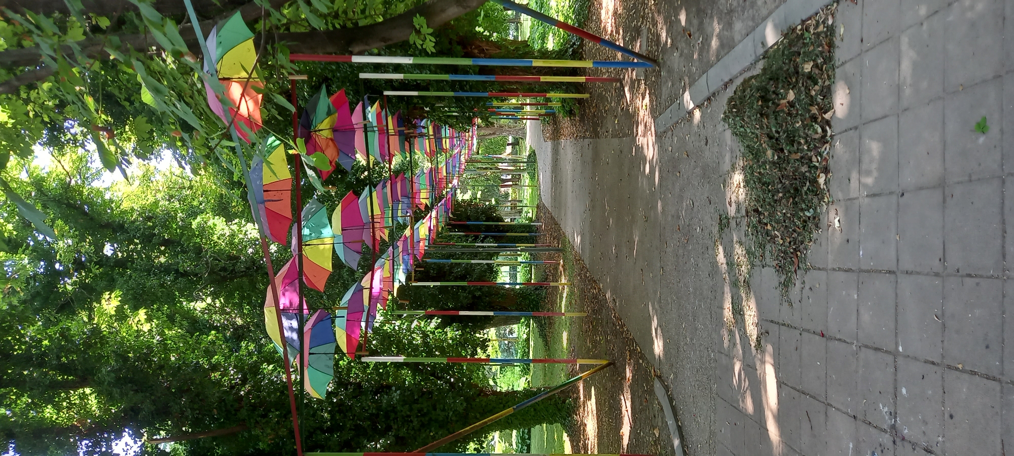 The image depicts an outdoor pathway lined with trees, featuring a decorative installation of colorful umbrellas suspended overhead. The pathway is paved with light-colored rectangular tiles and is flanked by greenery. Numerous poles painted in red, yellow, green, and blue support the structures holding the umbrellas. A pile of dried leaves is visible on the pathway in the foreground. The scene suggests a park or public space in the city of Silistra, Bulgaria, possibly within the Silistra City Park. No people are present in the image. The umbrellas are of various colors, including pink, yellow, green, blue, and red, and are arranged in rows extending into the distance. Sunlight filters through the leaves of the trees, casting shadows on the pathway.