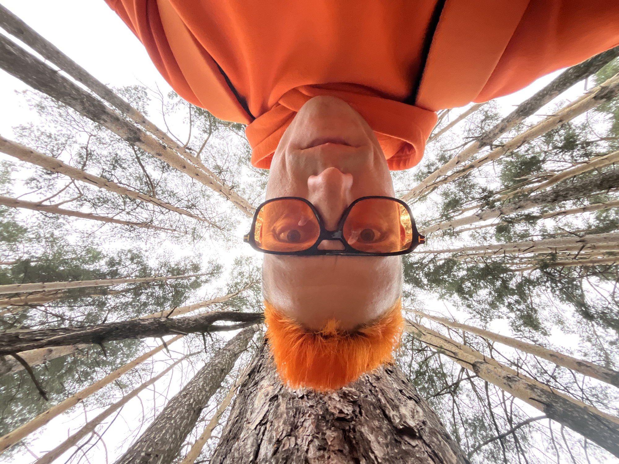 An unusual, upside-down, eye-level perspective captures a person wearing an orange hoodie and orange-tinted glasses. Their hair is also dyed orange. They appear to be positioned close to the base of a large tree trunk in a forest. The perspective looks upwards through the trees. The specific location, the city of Chaikovsky, Russia, cannot be independently verified from the image alone.