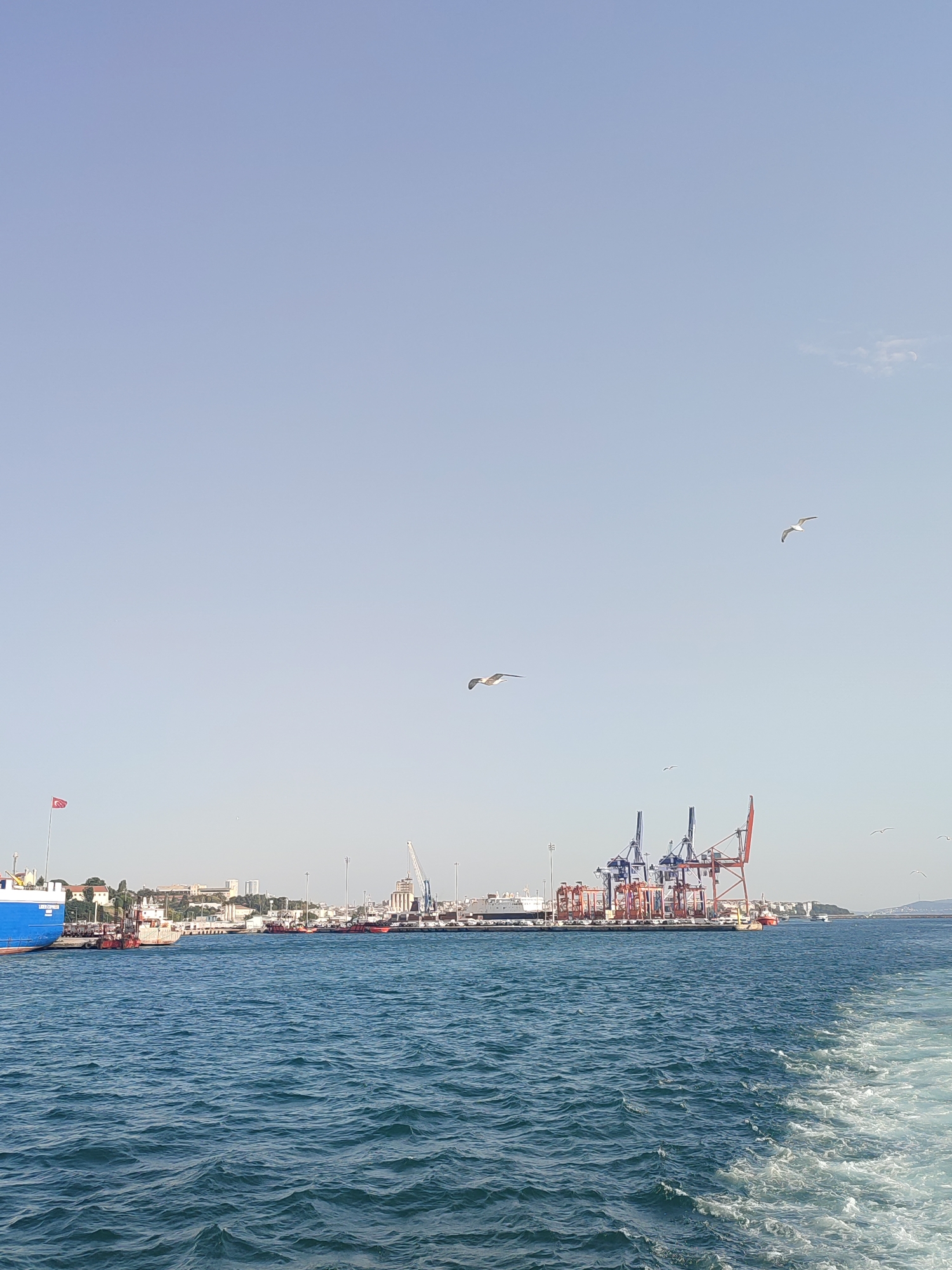 The image shows a wide view of a harbor with large cranes and ships under a clear blue sky. The foreground is dominated by choppy blue water, with a white wake trailing from the right side, indicating movement. In the middle ground, a busy port is visible with multiple cargo cranes, ships docked, and various port buildings. A Turkish flag flies from a flagpole on the left side of the port. Several seagulls are captured in flight against the sky, adding a sense of life to the scene. The background consists of a hazy city skyline with buildings and structures stretching along the coast. The overall impression is of an active maritime industrial area.