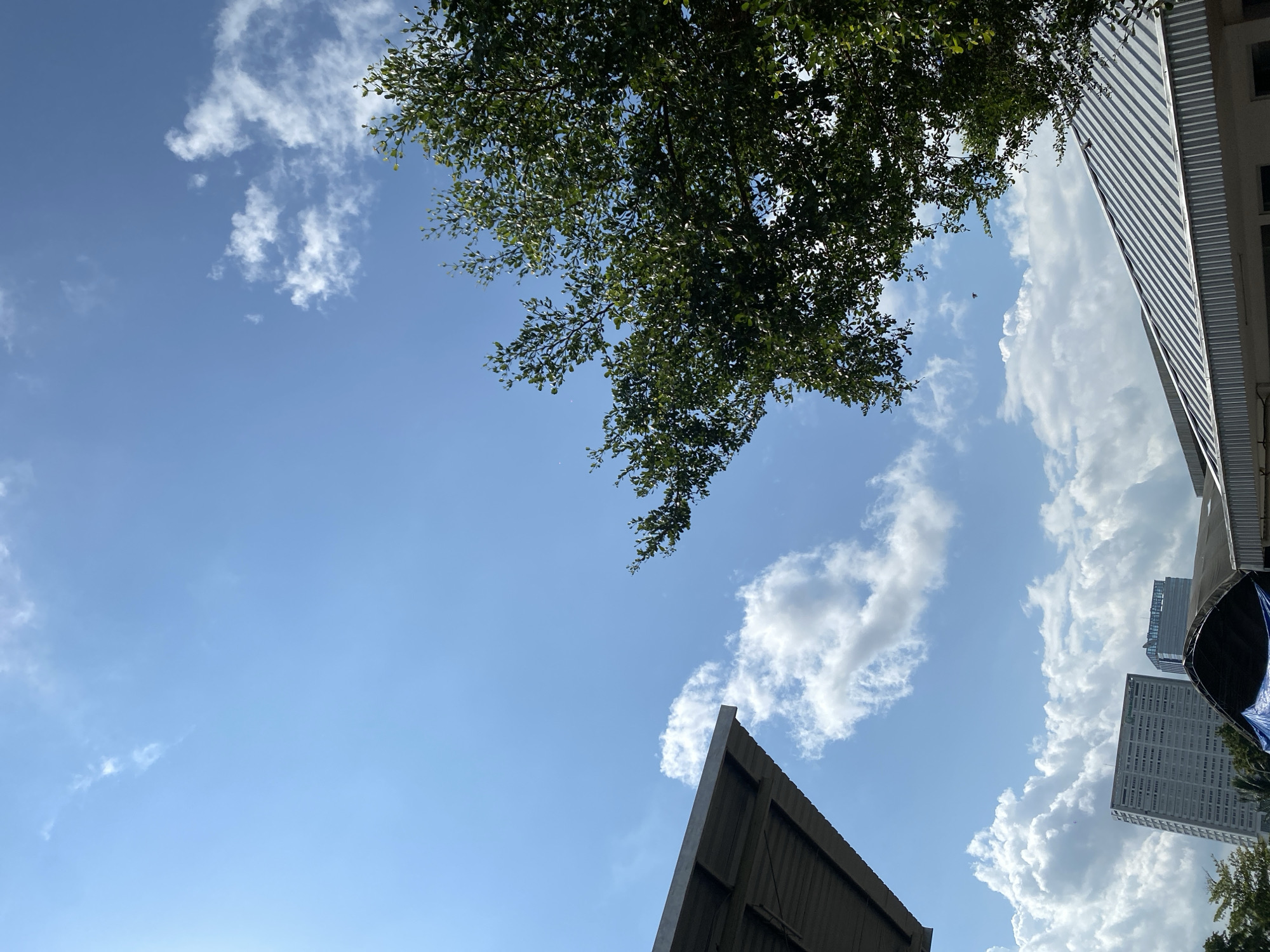 The image captures a bright, clear sky over Gambut Barat, Indonesia, dominated by a vibrant blue expanse dotted with fluffy white clouds. In the foreground, a section of a grey, corrugated metal roof juts in from the left, angled towards the center. To the right, the dense green foliage of a leafy tree fills a significant portion of the frame, its branches reaching upwards and across the sky. In the middle ground, two modern buildings stand against the sky; a tall, multi-story rectangular building with many windows, and a shorter, sleeker building to its right. Below these, another grey, corrugated metal roof, this one part of a larger structure, stretches across the bottom of the image. A dark blue tarp is visible underneath this roof structure. The overall scene suggests an outdoor, urban environment on a sunny day.