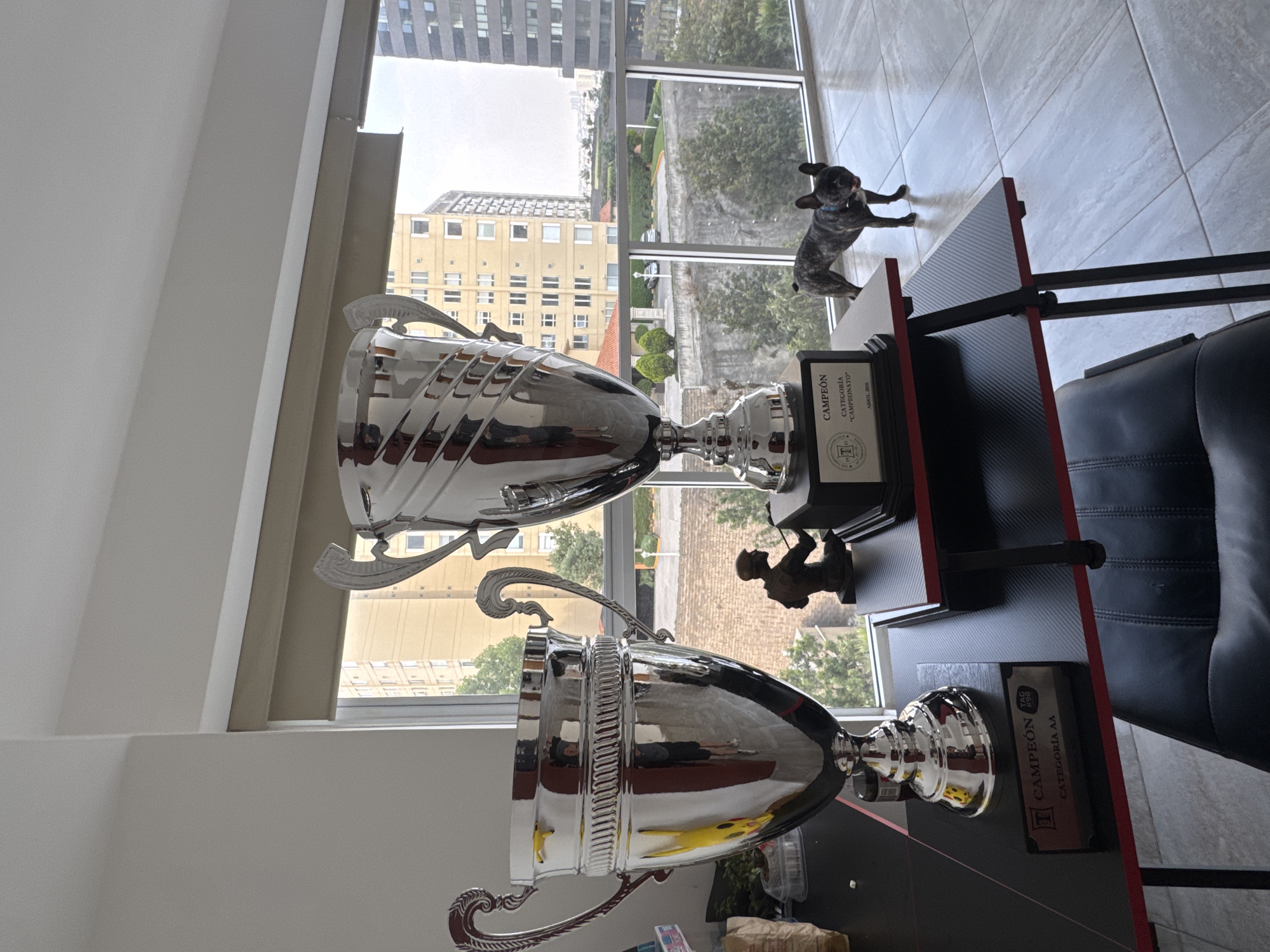 The image depicts an interior setting in a building in Huixquilucan de Degollado, Mexico. The scene features two large, silver trophies placed on a black and red desk. A framed award sits beside the upper trophy. The background showcases a cityscape viewed through a large window, including other buildings and greenery. A dog stands on the desk in front of the window, seemingly looking outside. A black office chair is visible on the right side of the image.