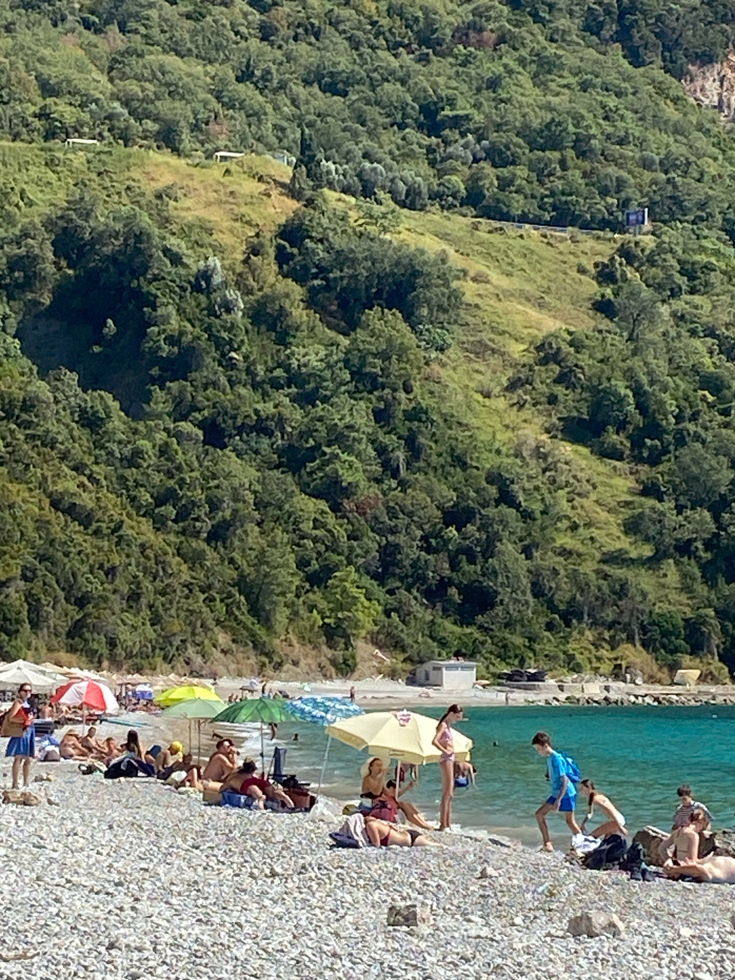 This is a wide, eye-level shot of a rocky beach in Prijevor, Montenegro, on a sunny day. The beach is dotted with people sunbathing and relaxing under various colorful umbrellas. The water is a vibrant turquoise, and the background is dominated by a lush, green, forested hillside.
In the foreground, the beach is covered in small, light-colored pebbles. Several groups of people are scattered across the pebbles. To the left, a woman in a blue skirt and red top stands by a red and white umbrella, holding a straw bag. Further inland, people are seated on towels and loungers, some under umbrellas of various colors (red, white, yellow, green, blue, and white patterned).
Towards the center and right of the image, the turquoise water is visible. A few people are standing near the water's edge. A young boy in a blue t-shirt and blue shorts is walking towards the water, carrying a blue backpack. A young girl in a pink bikini stands under a yellow umbrella. Several other individuals are seen near the water or on the pebbles.
In the middle ground, a white building with a dark roof is visible at the edge of the tree line. The hillside behind the beach is densely covered in trees and vegetation, with some patches of exposed earth. The overall impression is a relaxed, summery beach scene.