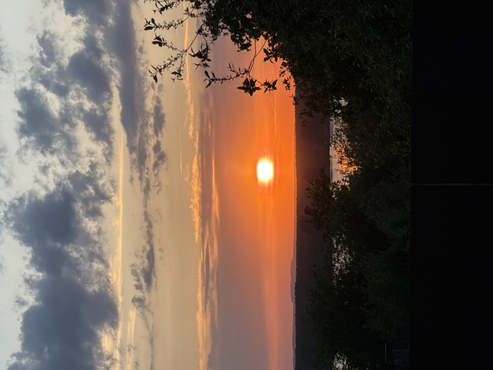 A scenic view shows a sunset over a body of water. The sun, a bright orange orb, is partially obscured by a haze of orange and pink clouds. To the left of the sun, a band of gray clouds adds depth to the sky. Silhouetted trees frame the view on the right, with their dark foliage contrasting against the vivid sunset. A few bare branches extend into the sky on the top right. A dark shoreline is visible just below the sun. The overall scene conveys a sense of tranquility and natural beauty. The location is not specified, but is stated to be Chaikovsky, Russia.