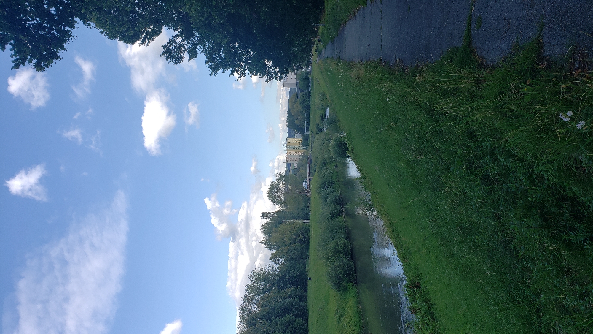 The image depicts a serene waterside scene in Prešov, Slovakia, likely along the Sekčov river. A paved path runs along the right side of the frame, bordered by lush green grass. The river itself flows gently on the left, reflecting the blue sky and scattered white clouds. In the background, a line of trees forms a natural barrier, behind which several multi-story buildings are visible, suggesting an urban setting on the horizon. The overall atmosphere is tranquil, showcasing a blend of natural elements and urban infrastructure.