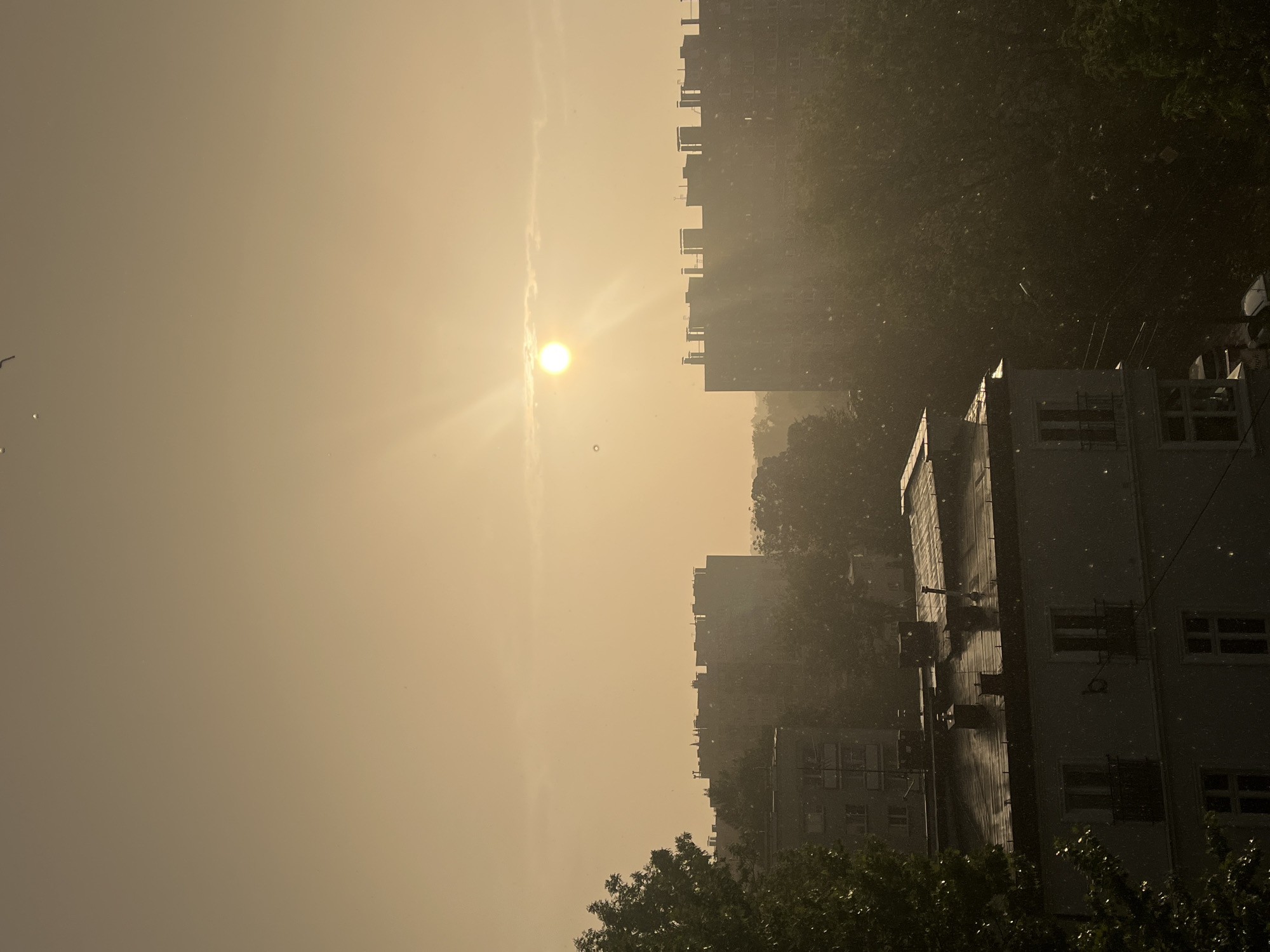 The image shows an urban scene during heavy rain, backlit by a bright sun. Buildings of varying heights dominate the landscape, with the silhouettes of trees interspersed among them. The light conditions suggest it is daytime, but the intense rainfall obscures details and creates a hazy, diffused atmosphere. The buildings exhibit architectural features such as windows and balconies, though these are partially obscured by the rain. Some foliage is visible in the foreground. There is no explicit indication of the city or people, only the urban landscape is seen through the rain.