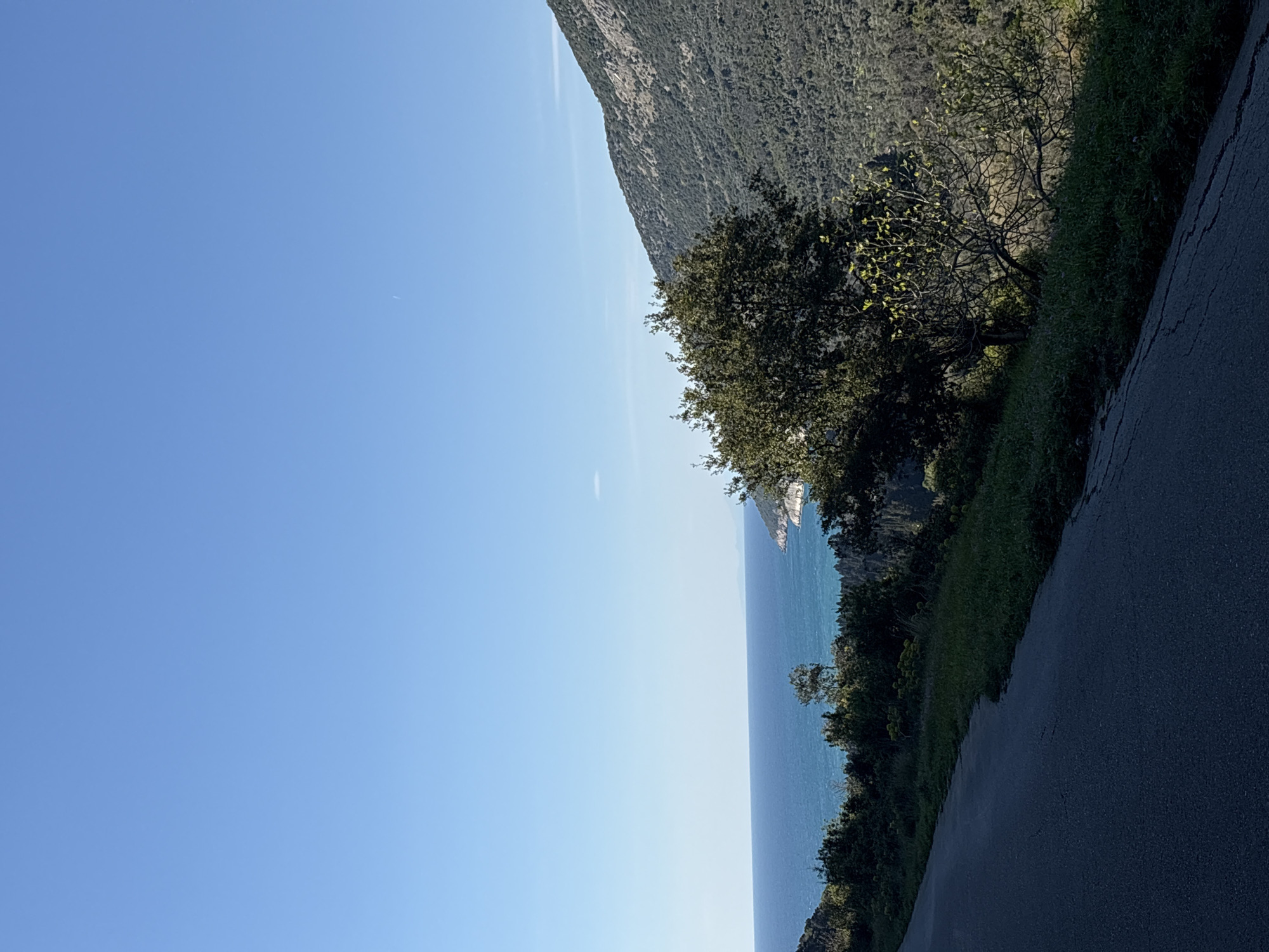 The image shows a scene on a coastal road in Bratica-Braticë, Montenegro. The sky is clear blue, taking up most of the left side of the image. The Adriatic Sea runs along the midsection, meeting the horizon. On the right, a road surface runs from the bottom corner diagonally upward. Lush green vegetation, including trees and shrubs, grows along the roadside. A steep, rocky mountain rises beyond the trees and vegetation in the background.