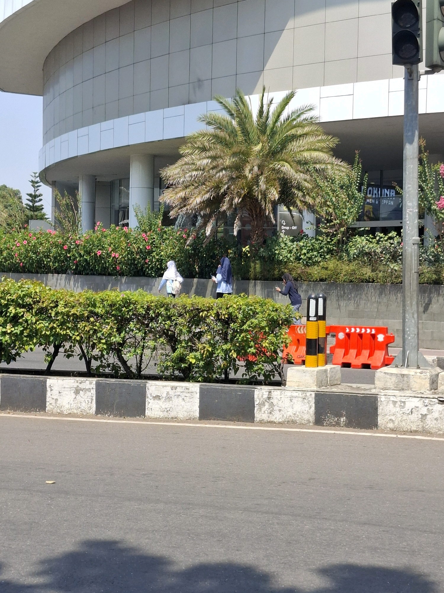 This is a medium shot, outdoor, eye-level photograph of a street scene in front of a modern building with a curved facade, likely in the city of Cianjur, Indonesia. The building's exterior is clad in light-colored panels and features large windows. In the foreground, a grey asphalt road is visible, with a concrete barrier marked with black and white stripes separating it from a green, manicured hedge. Beyond the hedge, a bed of pink flowers is planted.
Several individuals are present. One person, wearing a light blue hijab and carrying a bag, walks from left to right. Another person, in a dark blue hijab, is visible in the background, seemingly interacting with someone or something on the ground. A third individual in a white hijab is also seen walking.
A palm tree stands prominently in front of the building, with its fronds extending outwards. To the right of the palm tree, a traffic light is mounted on a grey pole. In front of the building's entrance area, there are several bright orange traffic barriers with reflective markings. The overall scene suggests a typical day in an urban environment with elements of both commercial architecture and natural landscaping.