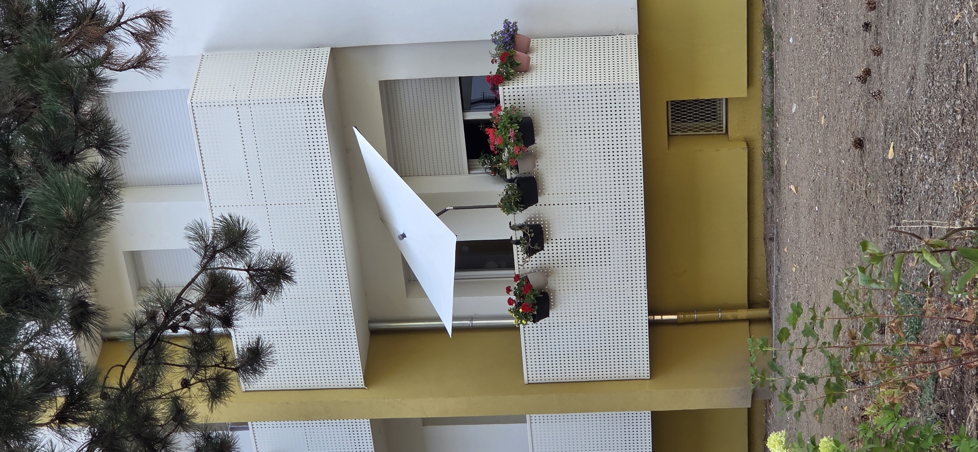 The image shows a view of a building facade with a balcony. The building has yellow and white sections. The balcony is enclosed by a white, perforated metal railing. Several potted plants with red, pink, and purple flowers are arranged along the railing. A white parasol is open and angled over the balcony, providing shade. A window with a closed roller shutter is visible behind the balcony. A metal drainpipe runs vertically along the yellow section of the building. In the foreground, there are some green plants and a gravelly ground surface with fallen pine cones and leaves. The scene appears to be in a residential area.