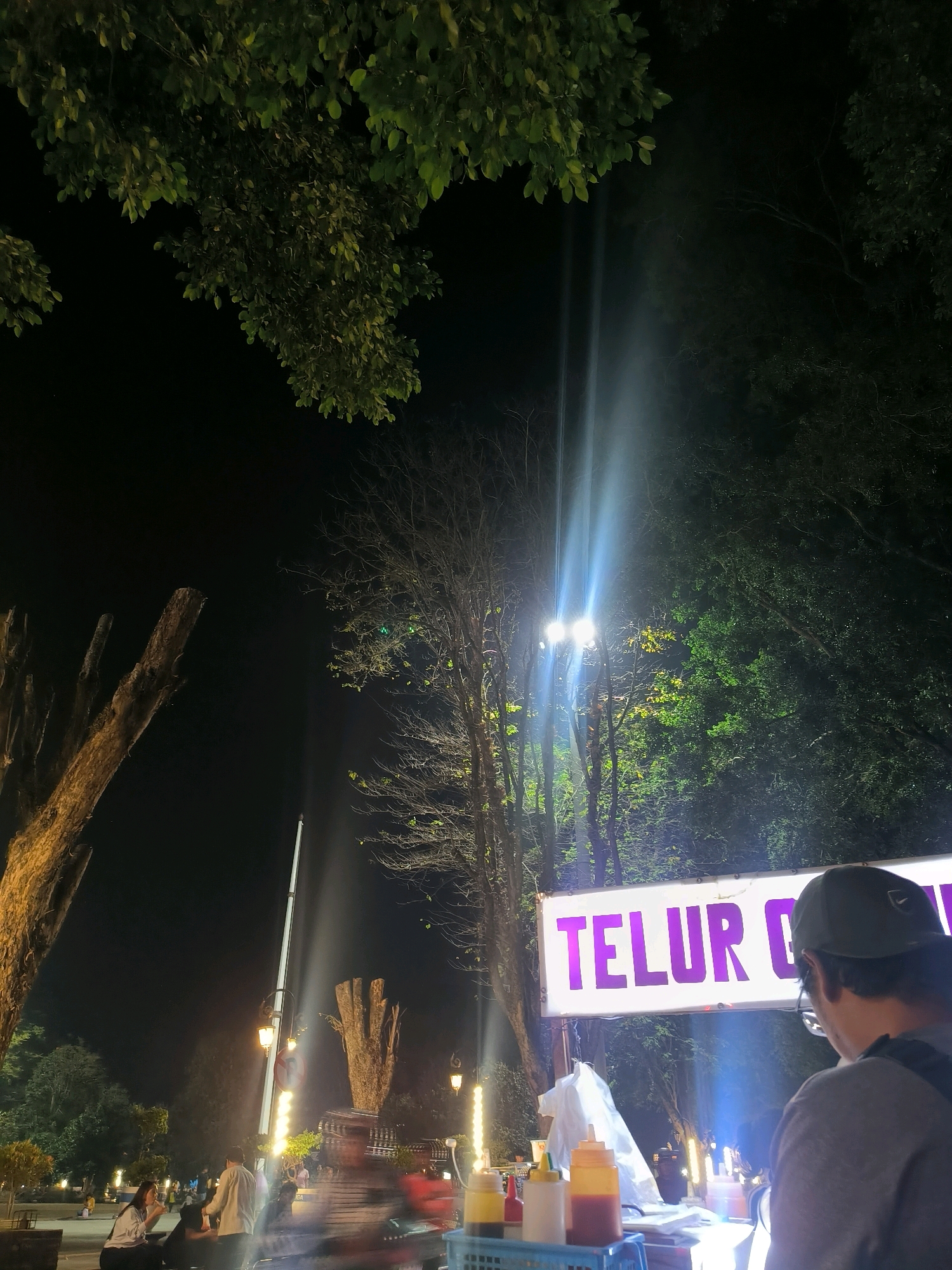 This image depicts an outdoor night scene, likely a street food stall area, in Salatiga, Indonesia. In the foreground, a person wearing a grey shirt and a cap is viewed from behind, looking towards a brightly lit sign that reads "TELUR G" in purple letters. Below the sign, a food stall is visible with various condiments in bottles, plastic bags, and a blue basket. A person in a white shirt and another person in a light-colored top are seated at a table in the middle ground, interacting. Trees with lush green leaves and bare branches are scattered throughout the scene, illuminated by streetlights and the food stall's lighting. The overall atmosphere suggests a lively night market or dining area within the city.