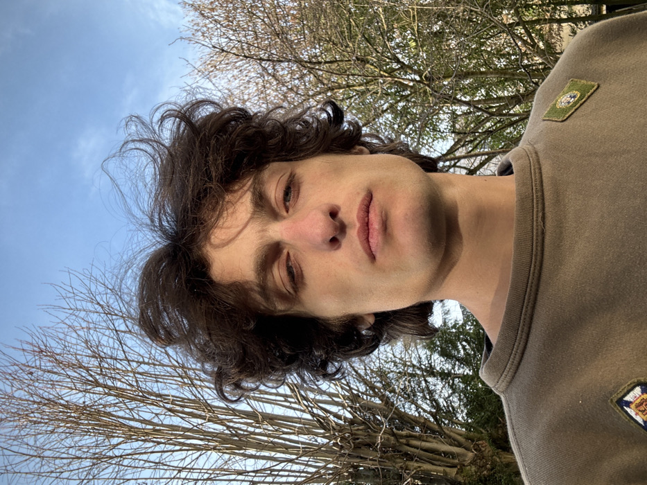 A tilted selfie captures a young man with curly brown hair and fair skin. He wears a neutral-toned sweatshirt adorned with emblem patches. Bare tree branches and a blue sky with soft clouds create the background. The man's gaze is slightly downward, imparting a contemplative mood. Sunlight casts subtle shadows on his face and the surrounding foliage.