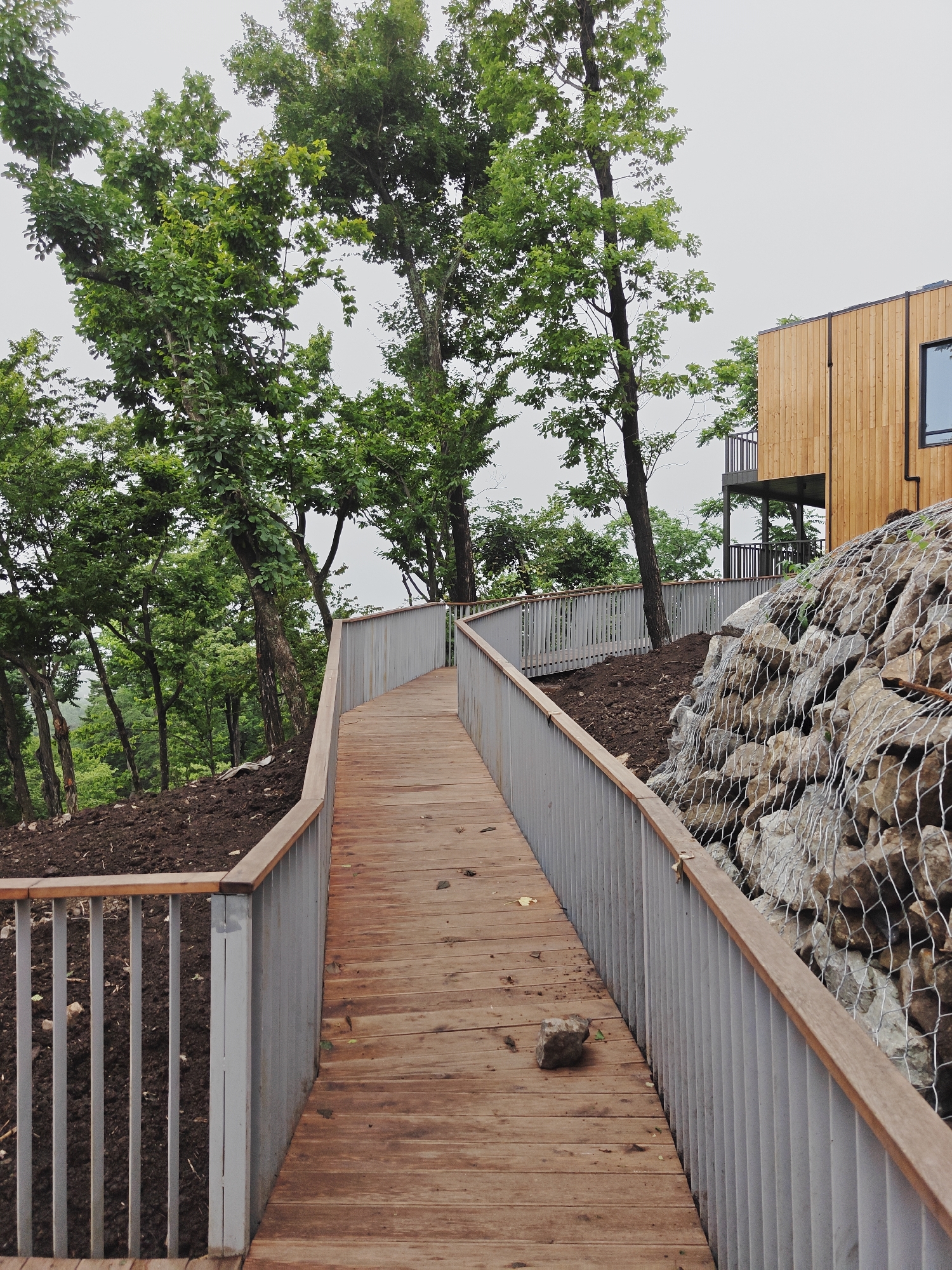 An elevated wooden walkway with a metal railing curves to the right in the foreground, leading towards a modern wooden building with a dark window. The walkway is weathered and has debris scattered on its surface, including a small rock. To the left of the walkway, a sloped area of dark soil is covered with scattered small rocks and debris, with several tall trees with lush green foliage growing behind it. To the right of the walkway, a wall of rocks is contained by wire mesh, and beyond that, a part of the wooden building is visible with balconies. The sky is overcast and pale. This scene appears to be located in a natural or semi-natural environment, possibly on a hillside overlooking a vegetated area. Based on the architectural style and surrounding vegetation, this could be a contemporary public space or a resort, potentially in an area with significant natural beauty, fitting for Vladivostok, Russia.
