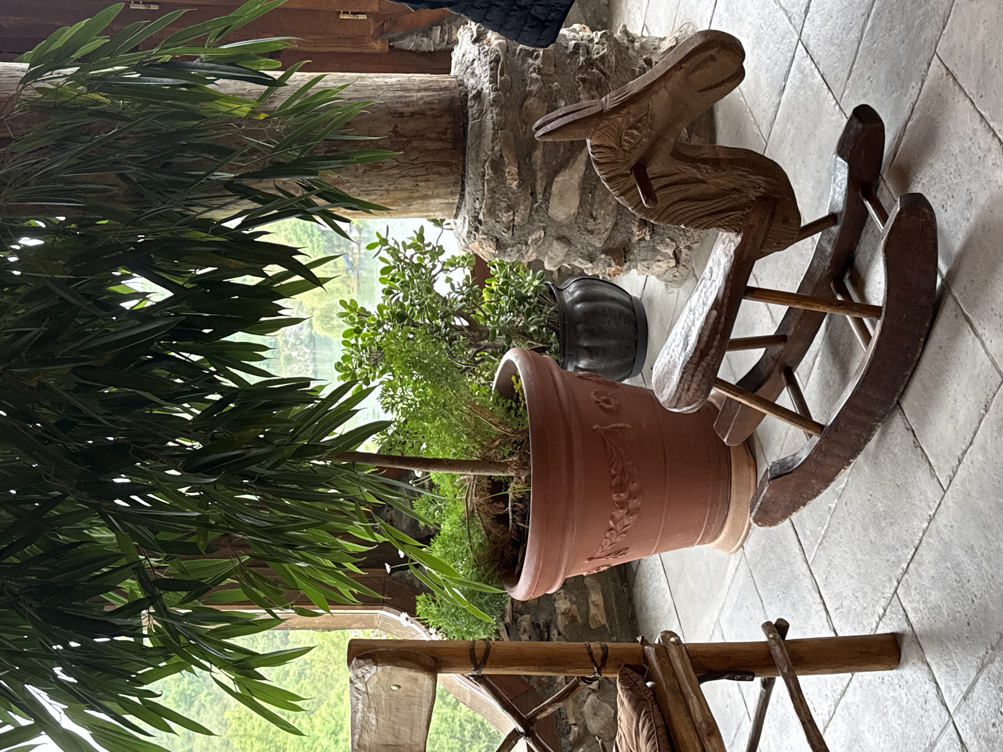The image depicts a scene in what appears to be an outdoor seating area. A large potted plant with long, green leaves dominates the left side of the frame, partially obscuring the view. In the foreground, a terracotta pot contains another plant with small, round leaves. Next to the pot is a vintage wooden rocking horse with intricate carvings. The background features a landscape with a view of greenery. The location is identified as Lukovit, Bulgaria, based on the context.