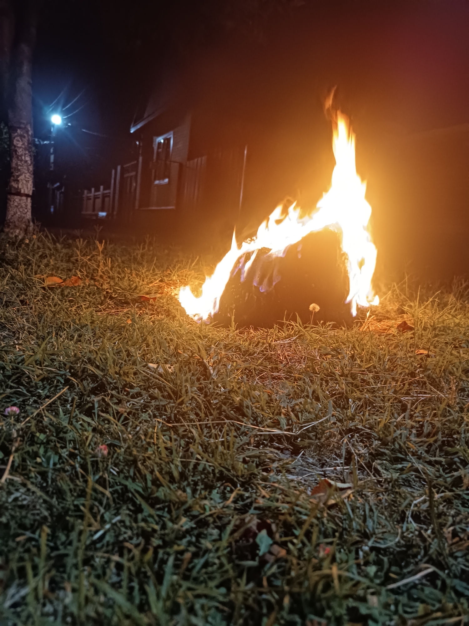 The image depicts an outdoor scene at night, with a bonfire as the central subject. The fire is burning intensely, casting a bright orange glow that illuminates the surrounding grass and creates a hazy effect in the background. The grass in the foreground is lush and appears to be slightly damp, with scattered leaves visible. In the background, a building with illuminated windows and a fence can be seen. A tree with rough bark stands to the left of the frame, with a light pole nearby casting a bright light. The scene is dark and atmospheric, suggesting a rural or suburban setting. The image does not contain any discernible people or animals.
