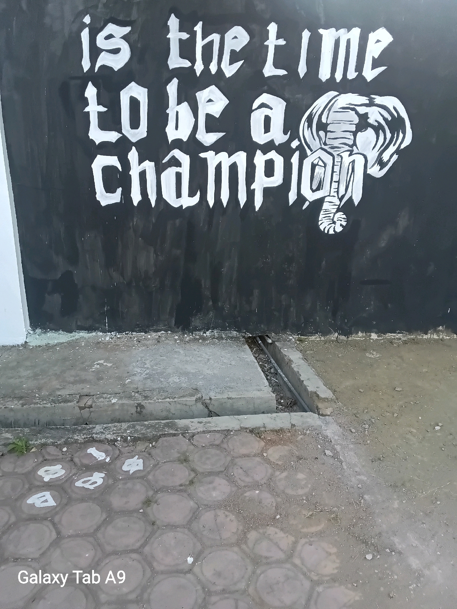 The image shows a black wall with white graffiti that reads "is the time to be a champion" and an illustration of an elephant's head. Below the wall, there is a cracked concrete sidewalk with hexagonal paving stones. A drainage ditch runs along the base of the wall, filled with debris. The scene appears to be outdoors, with dirt and some sparse vegetation visible. The "Galaxy Tab A9" watermark suggests the photo was taken with that device. The context provided places this image in Kelutan, Indonesia.