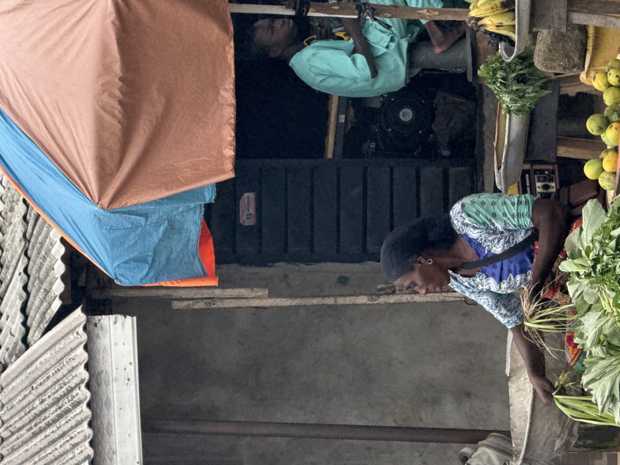 A medium, eye-level shot depicts a woman in Badagry, Nigeria, seated behind a table with vegetables, including large leafy greens. To the left is the corrugated iron of a building. Above, an orange and blue tarp is suspended, providing shade. Behind the woman, a dark opening, possibly a doorway, shows another individual in a light green shirt and shorts, and various objects, including a metal fan, bananas, and fruits. The picture is taken outdoors in daylight.