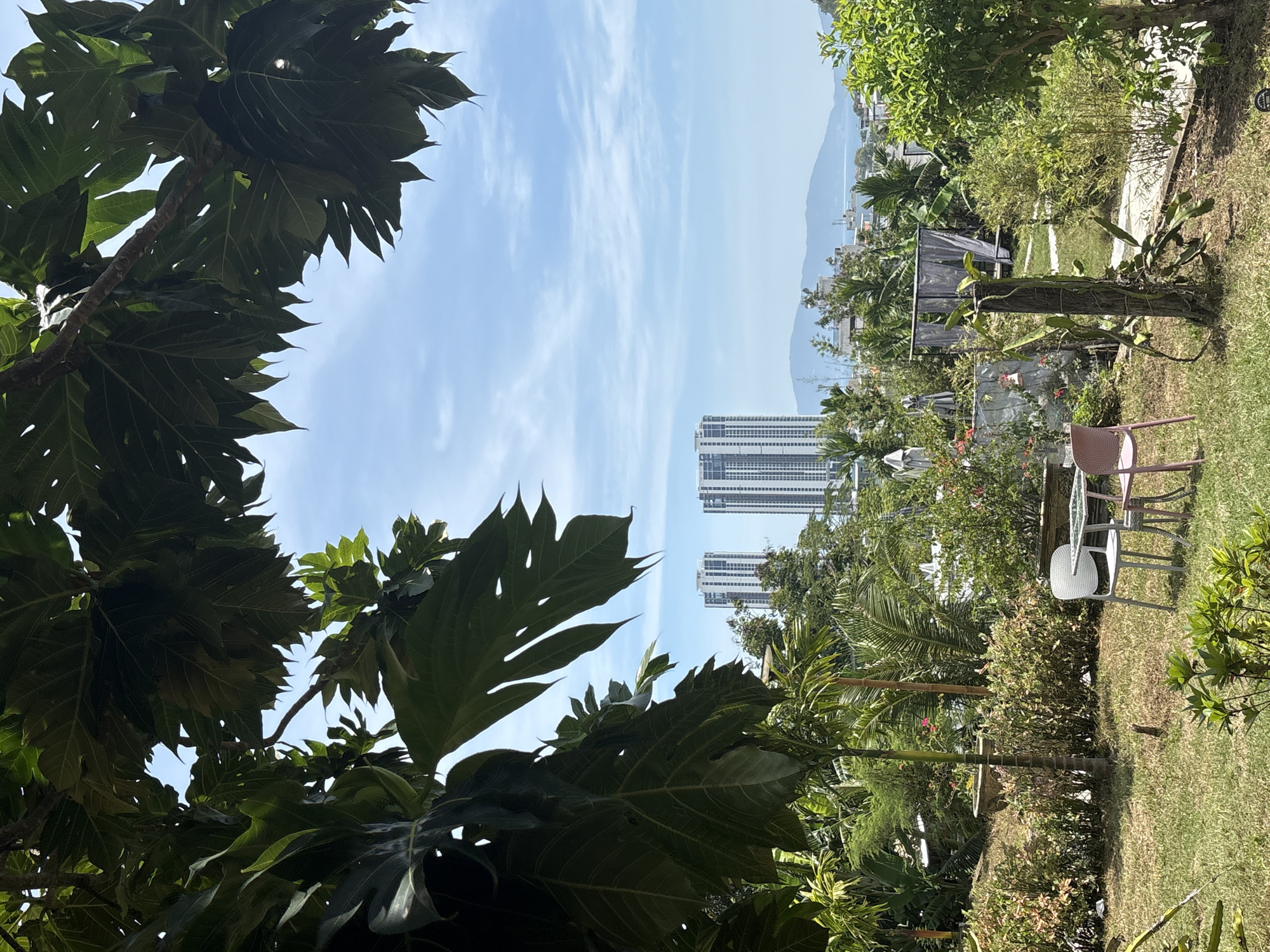 The image shows a partial view of Nha Trang, Vietnam, framed by lush, green vegetation. Two tall, modern buildings rise in the background, partially obscured by trees. Further in the distance, a hazy mountain range is visible under a light blue sky with wispy clouds. In the foreground, a garden area is visible, featuring a white and a pink chair near a small table. The image is taken from a low angle, with large, distinctive leaves of a tropical tree dominating the left side of the frame. The scene is bright, suggesting a sunny day.
