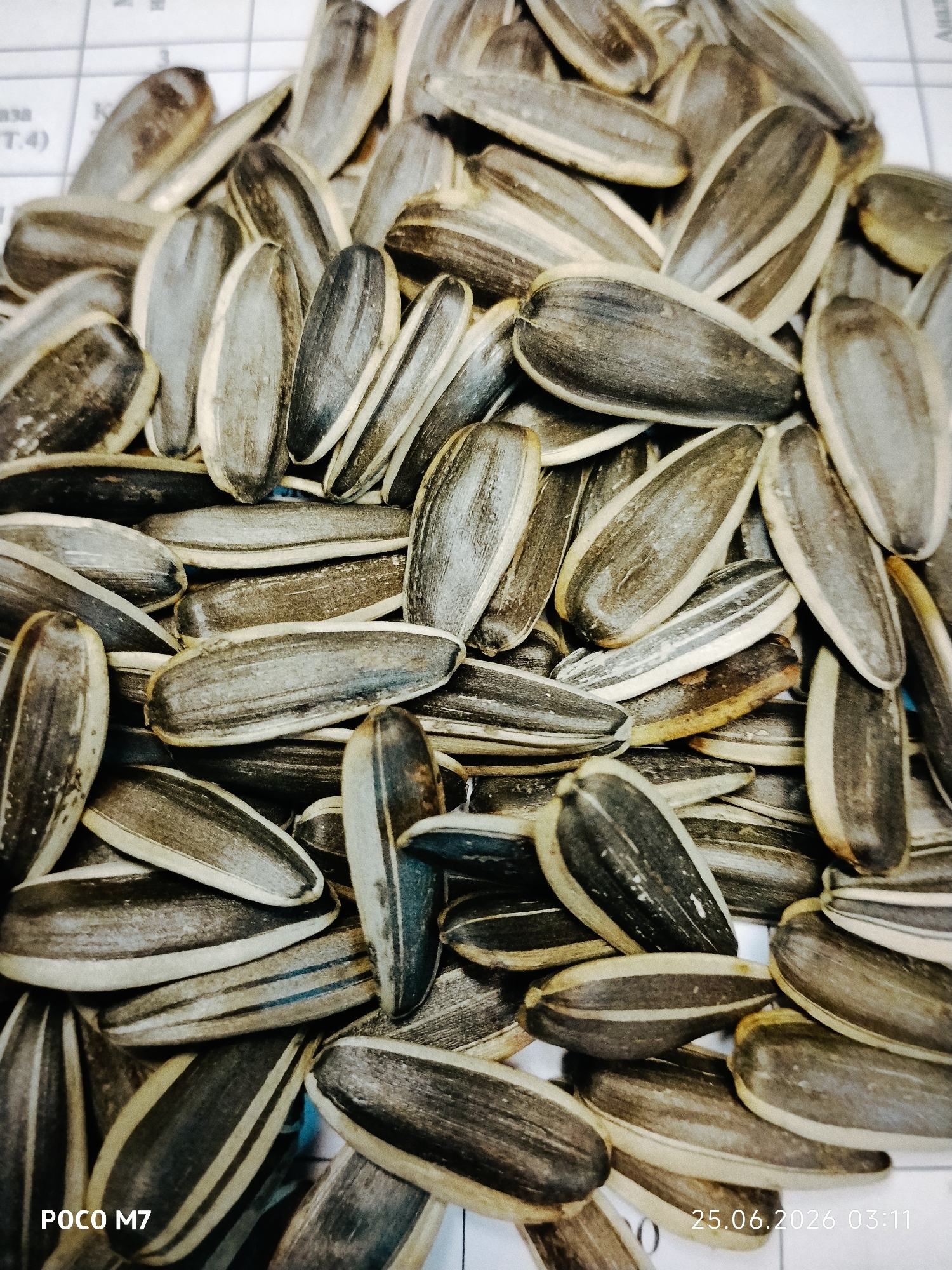 A pile of sunflower seeds is shown in a close-up, overhead shot. The seeds are mostly black and white striped, with a few being entirely black. The seeds are scattered randomly, with some overlapping. The background appears to be a white surface with faint grid lines. The image also contains text overlays indicating "POCO M7" and "25.06.2026 03:11".