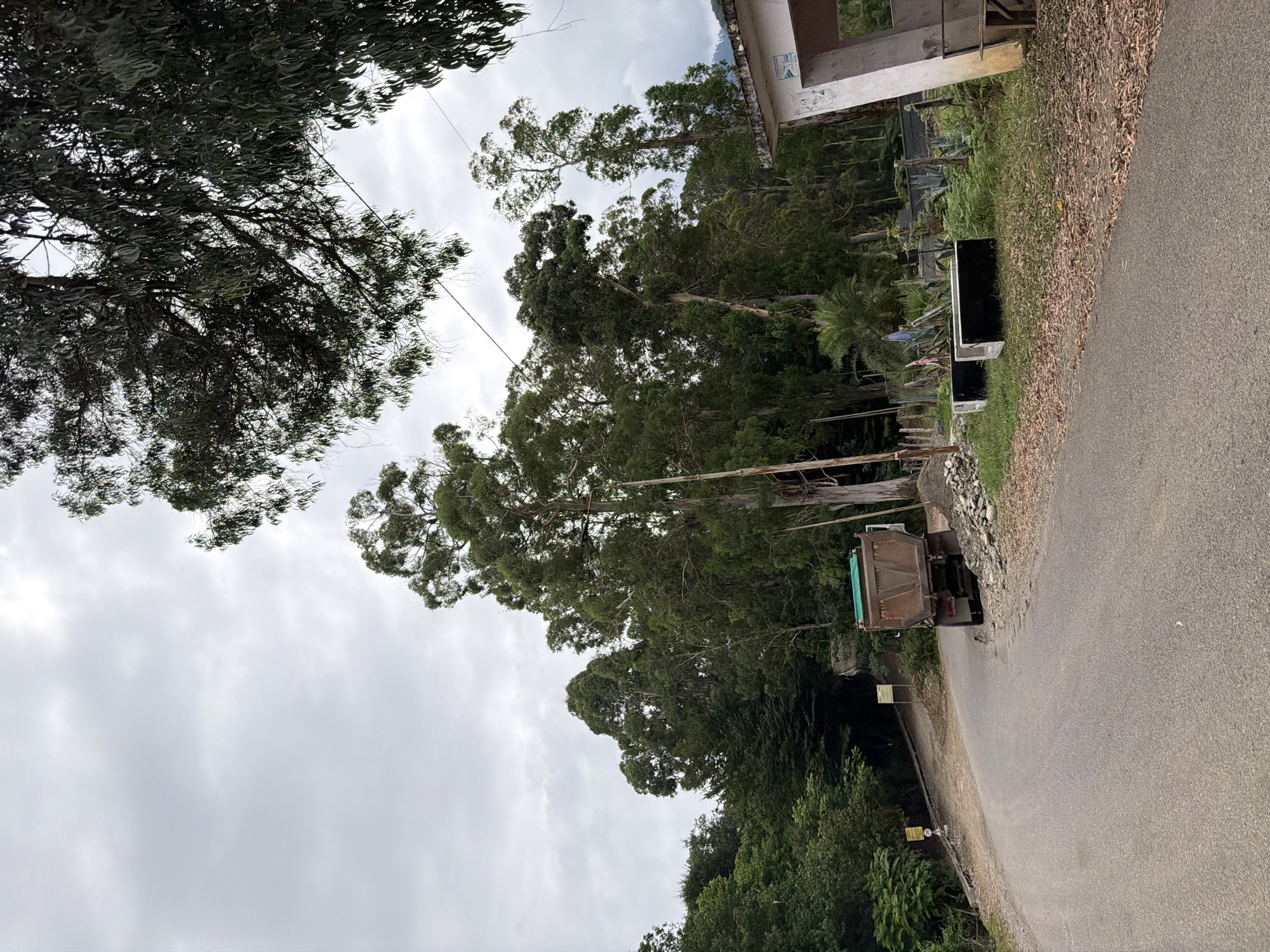 The image depicts a rural road scene in Kveda Sameba, Georgia. A grey, overcast sky dominates the upper portion of the frame, with tall, lush green trees framing the road on either side. In the foreground, an asphalt road curves to the left. On the right side of the road, a weathered, open-bed dump truck is parked. Next to the truck, a pile of stones and gravel is visible. Further to the right, a small, open-sided structure with a sloped roof and white concrete supports is present. Two rectangular concrete blocks, one painted black, lie on the grassy verge in front of the structure. The area is characterized by dense foliage and a slightly unkempt appearance, suggesting a remote or undeveloped location.