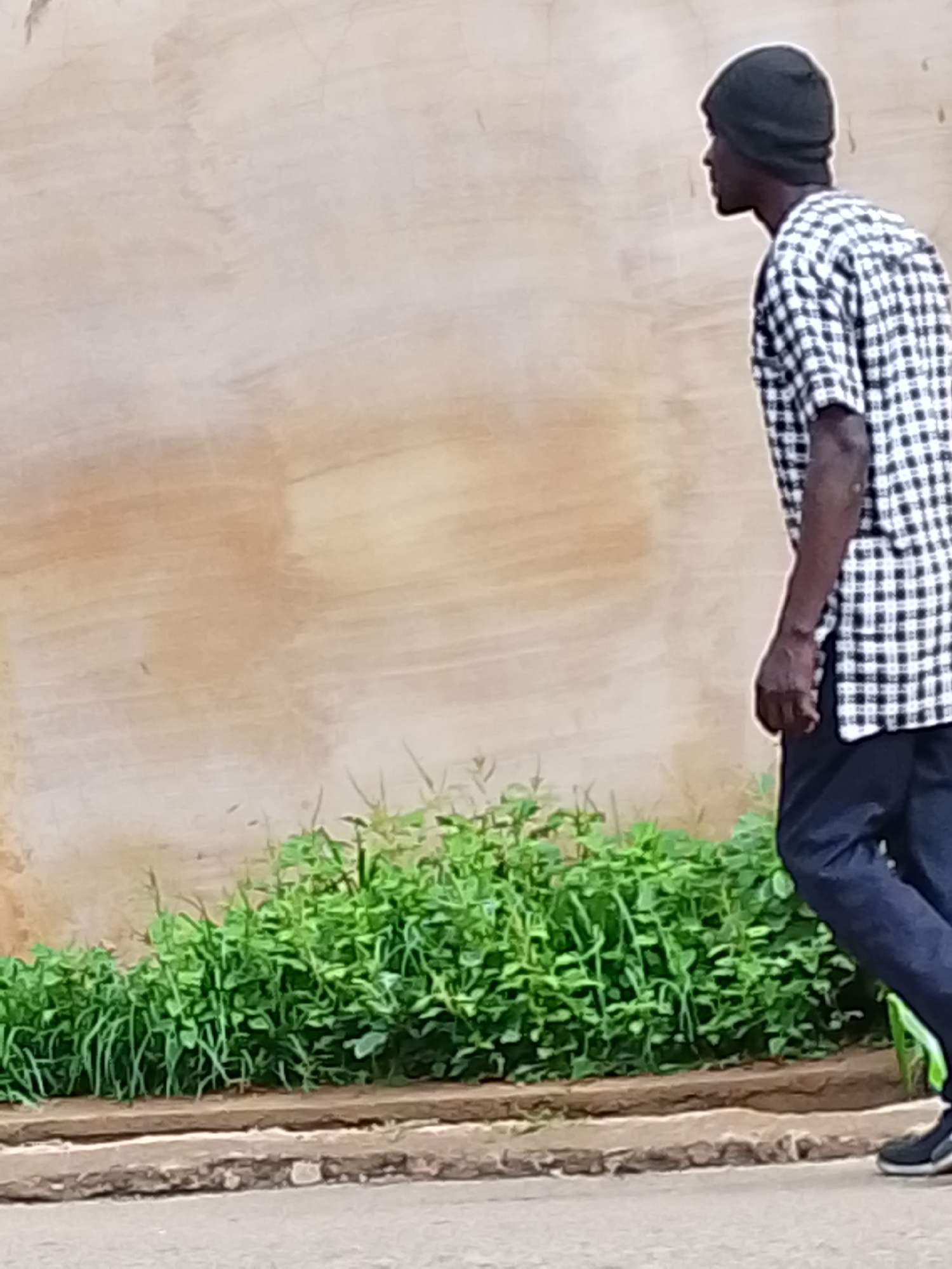 A man in a black beanie, a black and white checkered shirt, and dark pants walks along a sidewalk in an urban environment. He is facing right, away from the camera. A patch of green foliage grows along the base of a light-colored wall. The location is unknown.