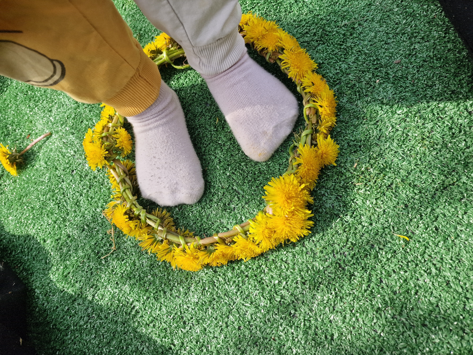 Here is a detailed description of the image:
**Scene:**
The scene is set outdoors on artificial green turf.
**Objects:**
A circular wreath made of interwoven dandelion stems and yellow dandelion flowers rests on the artificial turf. Inside the circle formed by the wreath are two feet wearing light-colored socks.
**People:**
The image shows the lower legs and feet of a child wearing socks and pants.
**Actions/Interactions:**
The child's feet are positioned within the dandelion wreath, suggesting play or an interaction with nature.
**Environment:**
The scene is lit naturally, casting shadows that indicate the position of the sun. The artificial turf provides a uniform green backdrop.