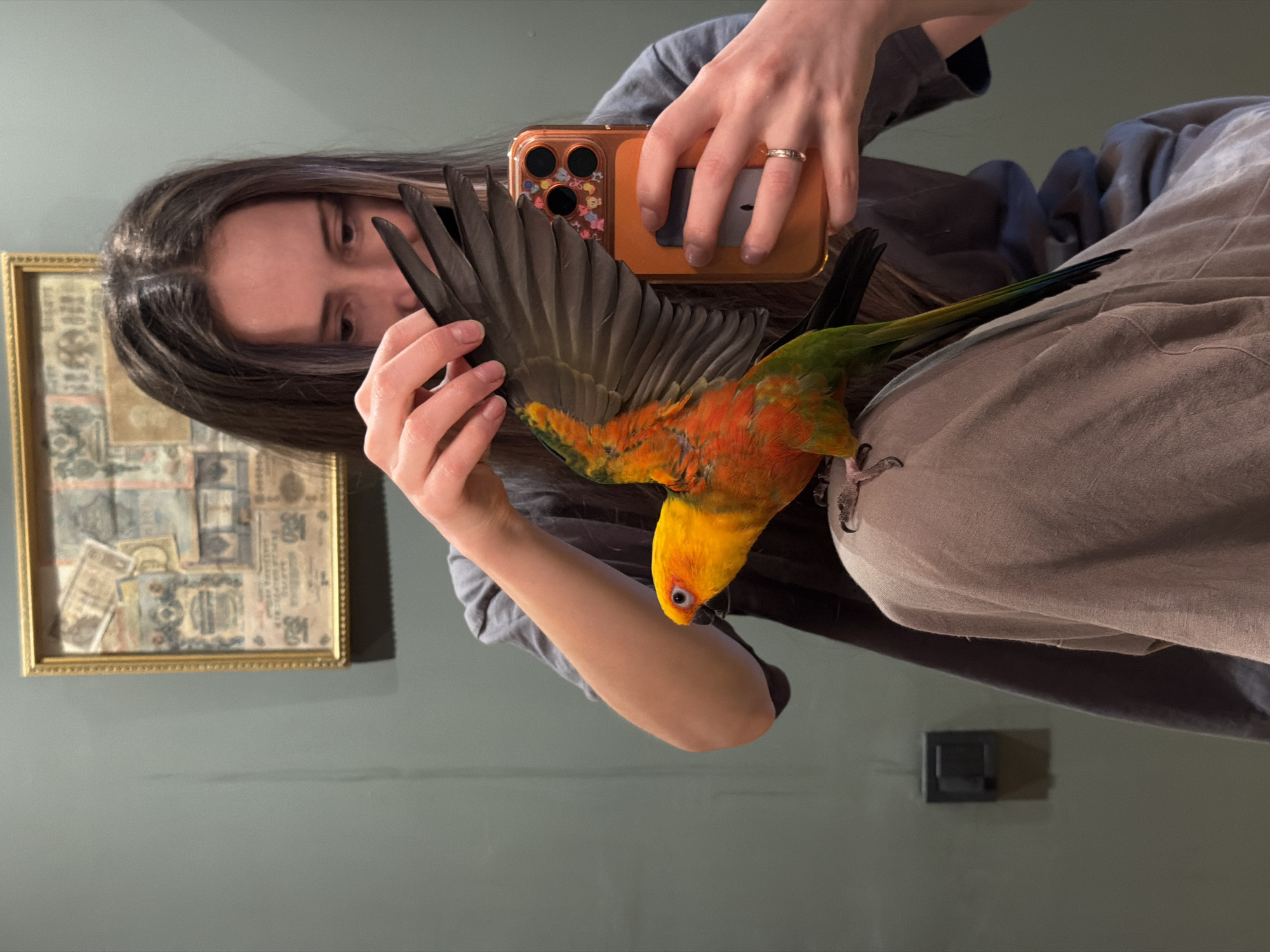 A woman is holding a brightly colored parrot, possibly a Sun Conure, with an orange and yellow head, orange body, and green and blue tail feathers. The woman is holding up the bird's wing with her left hand, and taking a photo of the bird with her smartphone in her right hand. She has long brown hair with some lighter highlights. She is wearing a ring on her right ring finger. Her phone has a floral patterned case. The parrot is perched on a person's lap, likely the woman's. The person is wearing tan-colored pants.
In the background, there is a framed picture hanging on a gray wall. There is also a light switch on the wall.
The location in Khimki, Russia is not possible to determine from the image alone.