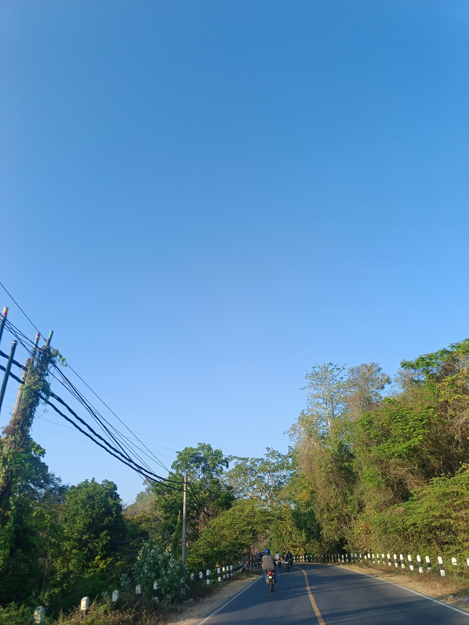 A clear, bright blue sky stretches across the top half of the frame. Below, a paved road curves to the right, lined with white bollards topped with black. On the left side of the road, a wooden utility pole is draped with vines and power lines run diagonally across the image. Dense green foliage and trees flank the road, with some trees exhibiting autumnal colors. A group of people on motorcycles travels along the road, heading into the distance. The scene appears to be a rural or suburban area with natural vegetation.