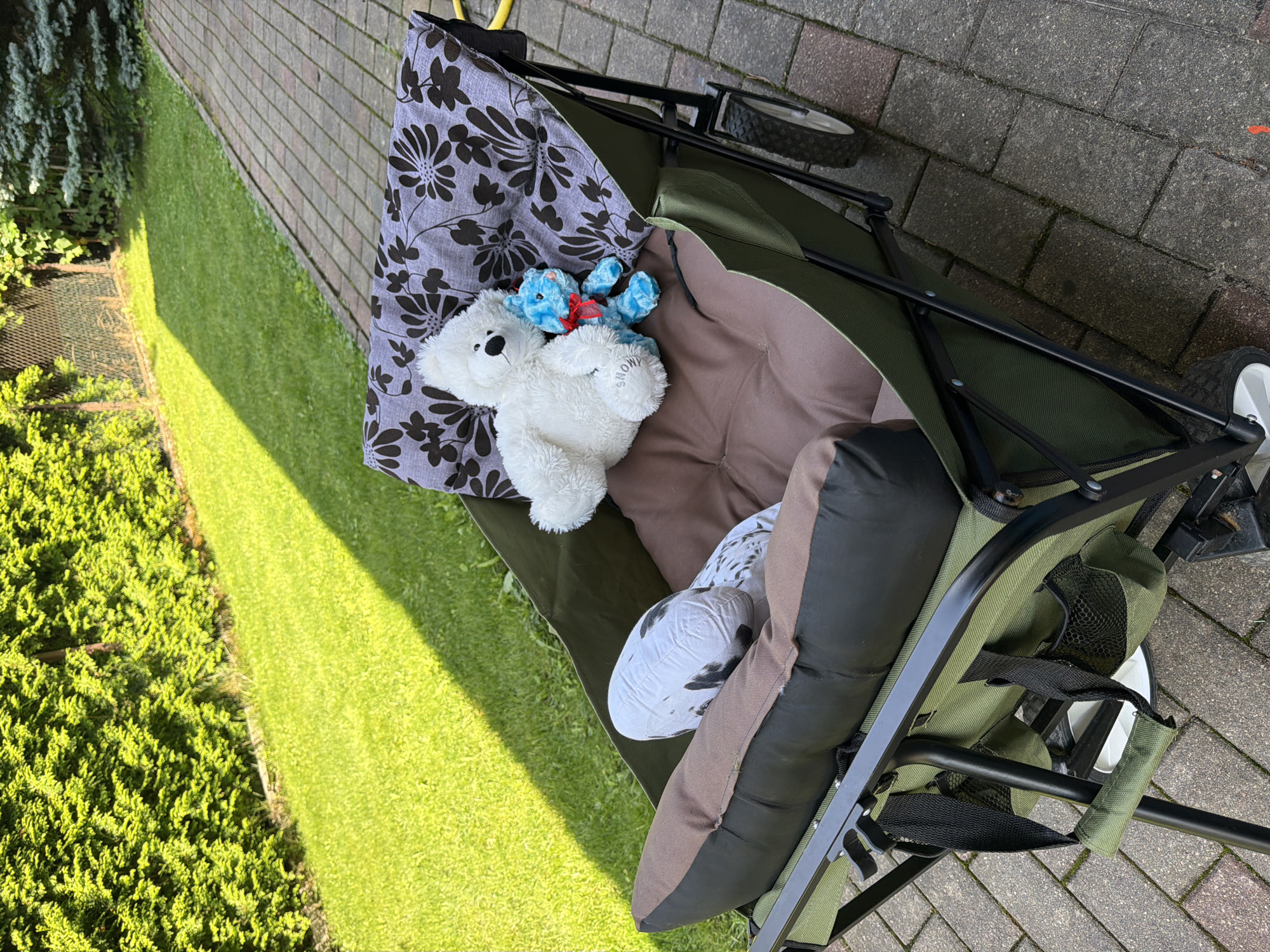 The image shows a green collapsible wagon with two teddy bears and a dalmatian-patterned pillow inside, placed on a paved pathway in a backyard. The wagon is positioned outdoors, with a well-maintained lawn and a dense green hedge visible in the background. To the right of the wagon, a portion of a coniferous tree and a wooden fence can be seen. The lighting suggests it is daytime, with sunlight casting shadows on the grass. The image does not contain any people.