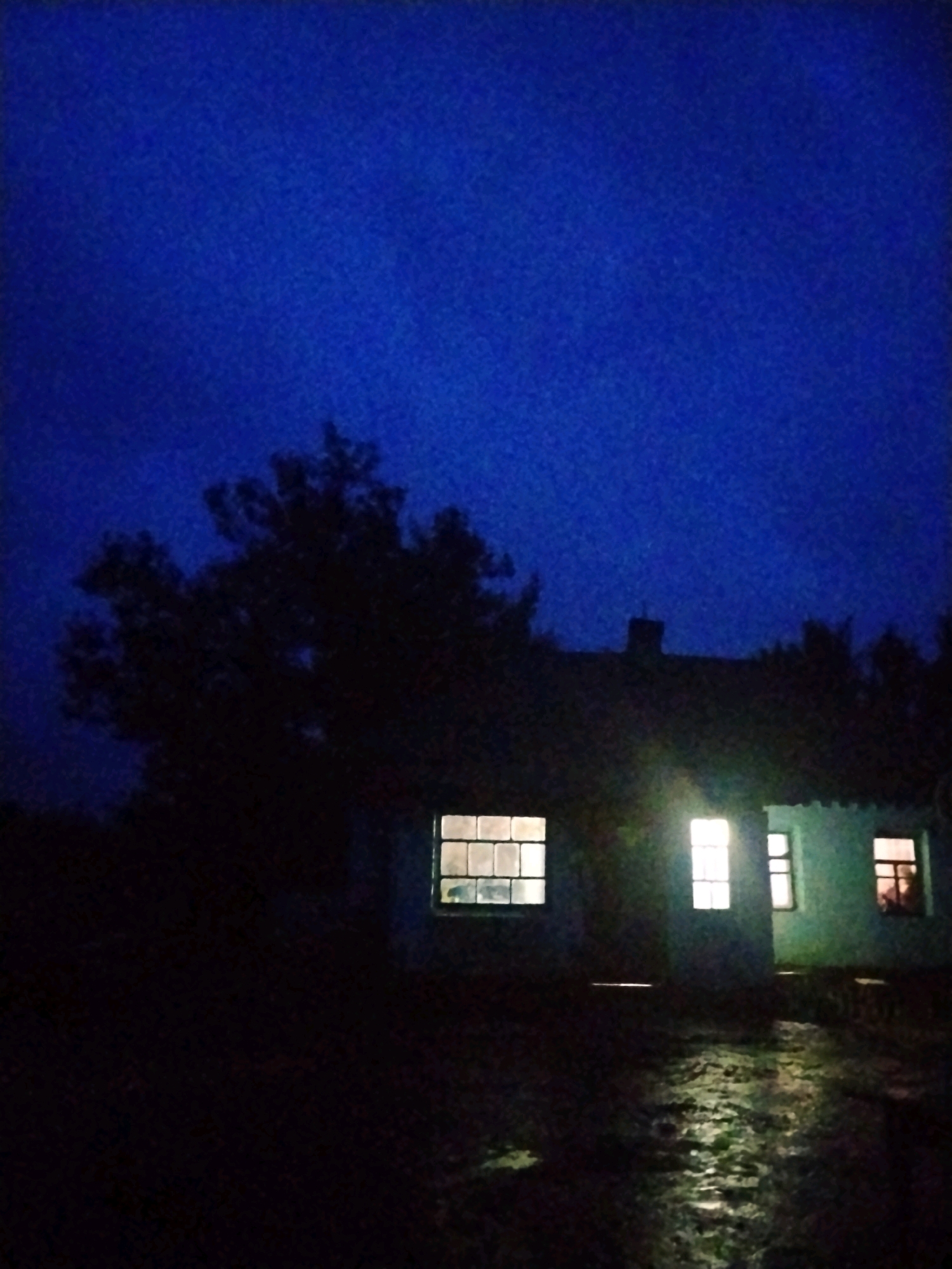 The image depicts a dark, rural scene, likely at dusk or during the night, in the city of Ustyvytsia, Ukraine. A single-story, nondescript building with several lit windows is visible. The windows have a grid pattern, suggesting they are old. One window on the right shows a reddish glow from within. The building appears to be made of light-colored material, possibly concrete or stucco. A dark, silhouetted tree stands to the left of the building, its branches reaching upwards. The ground in front of the building is wet and reflects the light from the windows, indicating recent rain or dampness. The sky is a deep, dark blue. The overall impression is one of isolation and quietude.