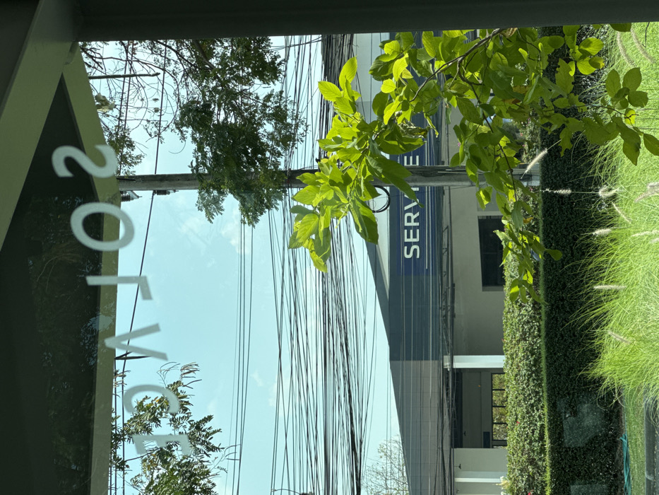A building with a "SERVICE" sign is partially visible, obstructed by numerous power lines and tree branches. A window reflects more trees and the sky, with white lettering on its surface. Lush green foliage and grass are present on the right side of the frame. The photograph is taken at an angle, giving a rotated perspective.