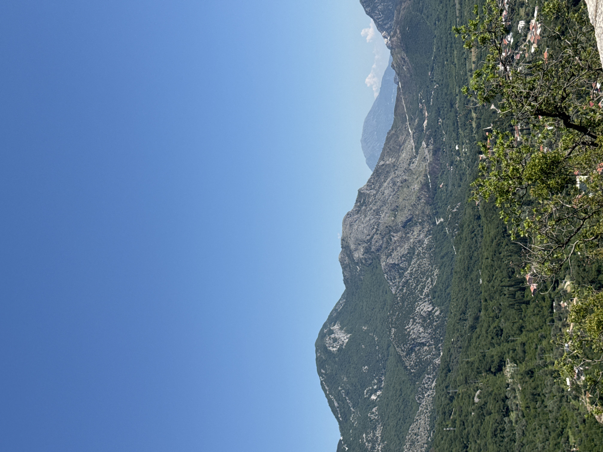 The image depicts a landscape scene in Novoselje, Montenegro. Dominating the view are forested mountains rising against a clear, blue sky. A tree with green foliage is visible on the right side of the frame. Scattered buildings, likely houses, can be seen among the trees on the mountainside. The overall impression is of a mountainous terrain under a bright, clear sky.