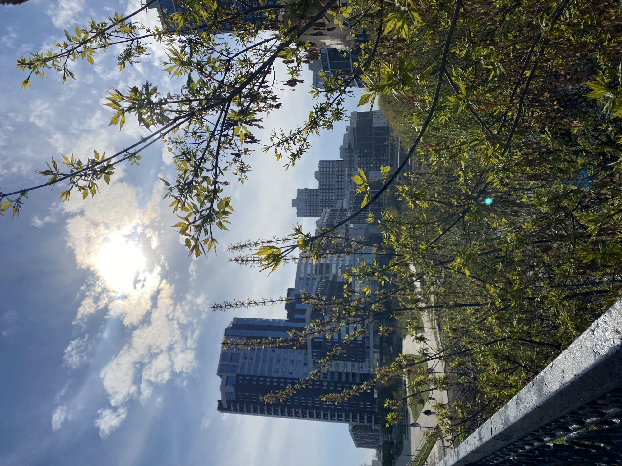 The image presents a view of a city skyline, framed by tree branches with fresh green leaves. In the distance, multiple high-rise buildings, mostly of grey and black, dot the urban landscape under a sky with light clouds and the sun shining through. The shot seems to be taken from an elevated position, potentially a bridge or upper level of a building, with the top of a metallic fence or railing visible in the lower left foreground. The overall environment suggests an urban park or green space overlooking a developed urban area. While the architecture is consistent with that found in the city of Yekaterinburg, Russia, there is insufficient data to determine the precise location within that city.