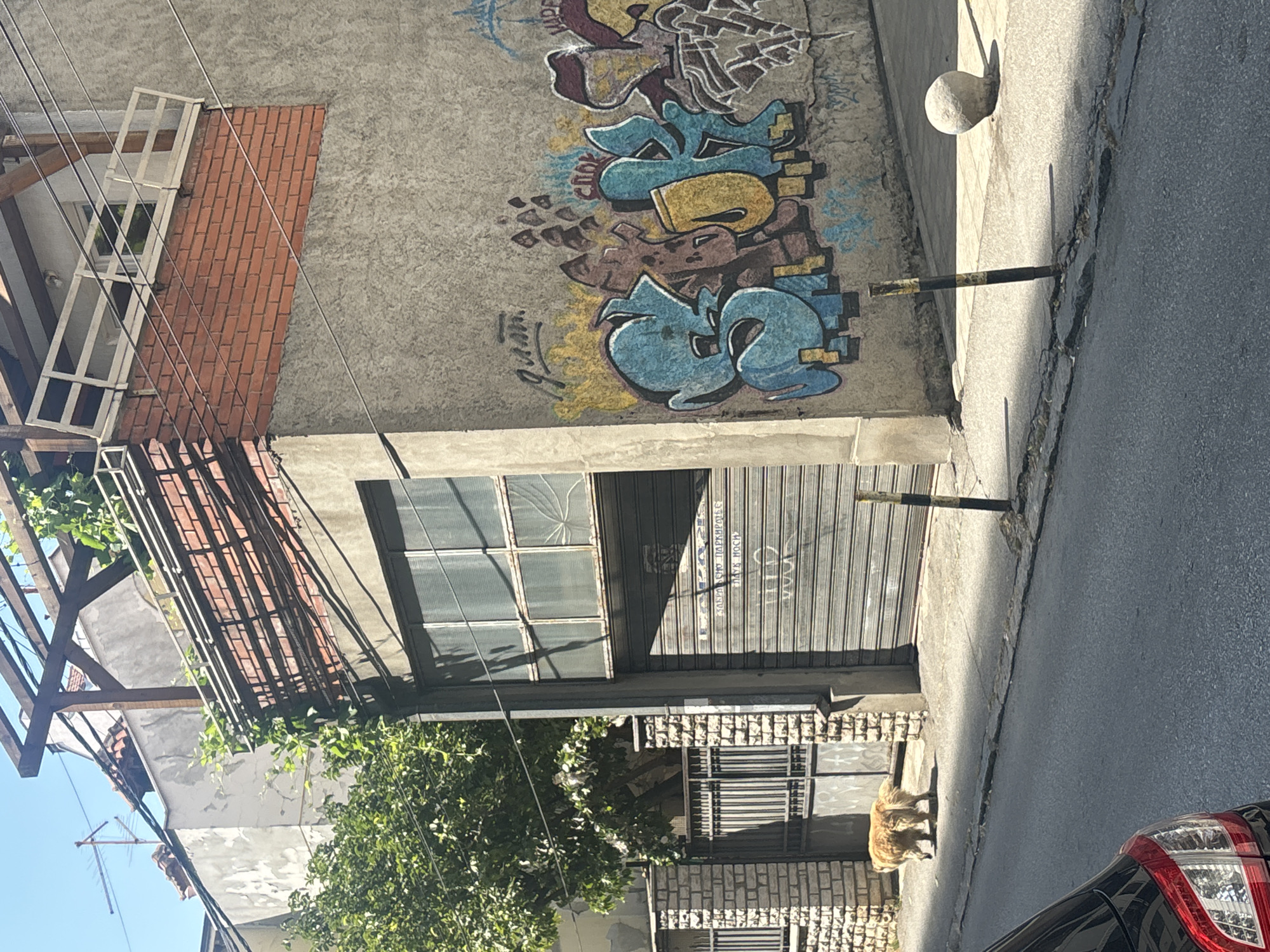 In Vracar Urban Municipality, Serbia, a golden-colored dog walks along a sidewalk adjacent to a street. Behind the dog is a metal gate and a brick fence, and further back, a building with a corrugated metal garage door. The building's wall features graffiti in various colors, including blue, yellow, and red. A large window with segmented panes is visible above the garage door. The scene is illuminated by sunlight, casting shadows on the sidewalk and street. In the background, another building with a brick facade and a wooden pergola is visible. The street itself is paved and shows signs of wear and tear, with cracks in the asphalt. A single spherical stone rests on the sidewalk near the graffiti.