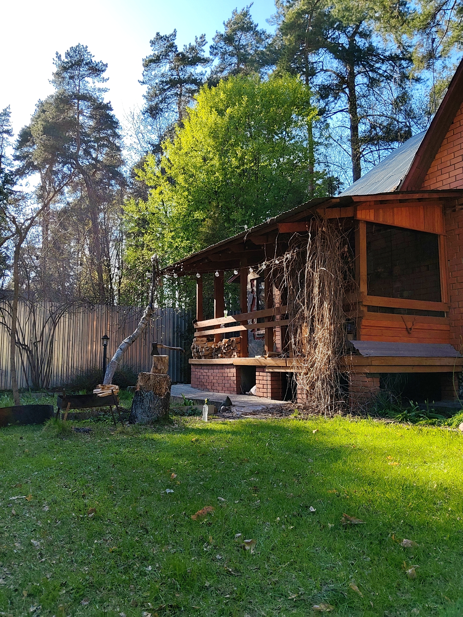 The image depicts a residential scene, likely taken in a rural or suburban area. The primary subject is a wooden building with a brick foundation and an attached porch adorned with dry vines. String lights are strung along the porch roof. A pile of chopped wood is visible on the porch. To the left of the building, there's a wood-chopping setup with a tree stump, an axe, and cut logs. A metal fence and trees are in the background. The foreground is a grassy lawn with scattered leaves. Based on the surrounding landscape and the presence of wooden structures, this could be a property in or near the Udelnaya area in Russia.