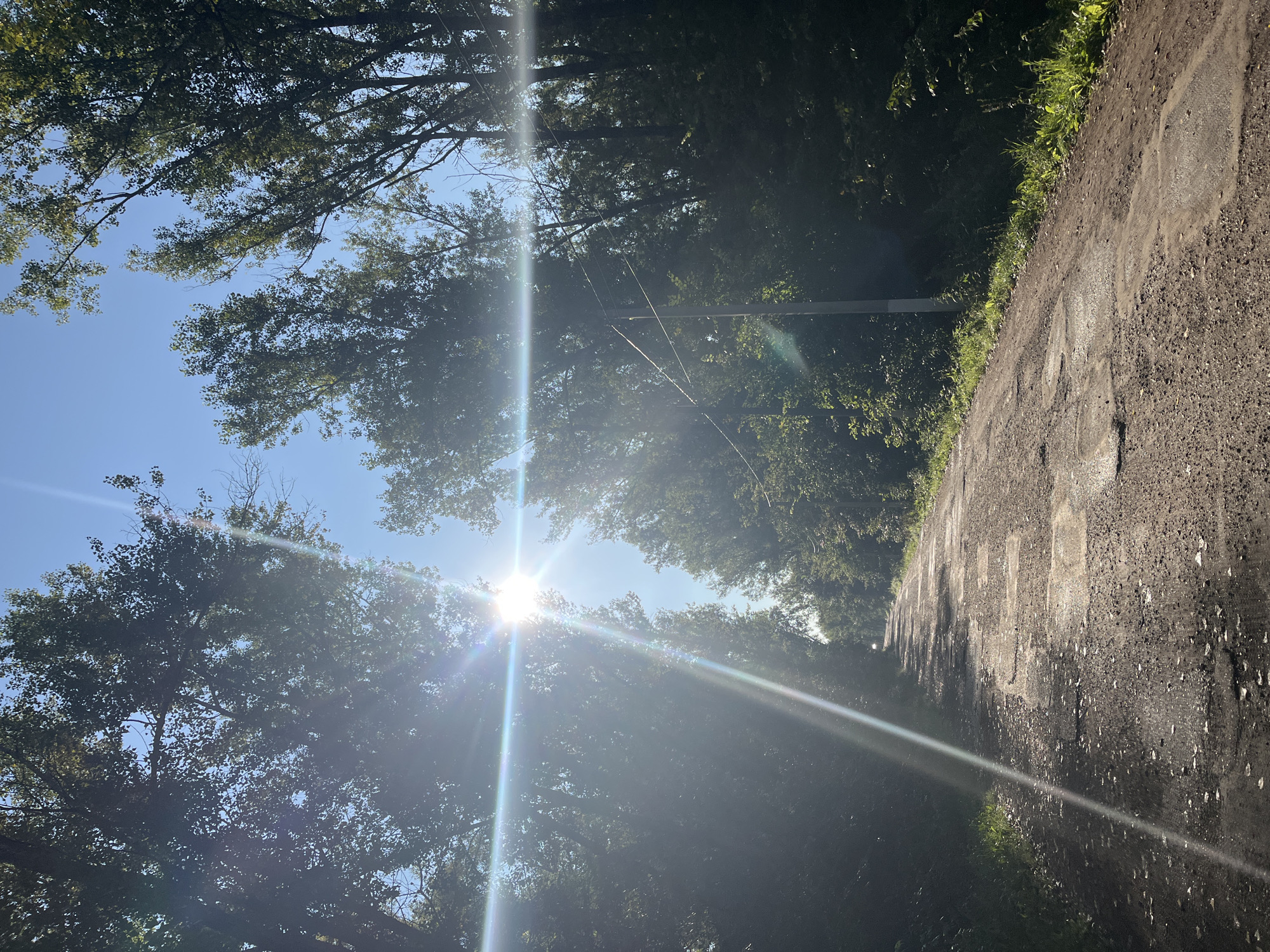 The image depicts a sun-drenched, unpaved road cutting through a dense forest. Tall trees line both sides of the road, their leaves illuminated by the bright sunlight, which creates lens flare effects across the frame. The road surface is uneven and appears to be composed of gravel and dirt, with visible patches of worn asphalt or concrete. The sun is positioned high in the sky, casting long shadows and highlighting the texture of the road. There are power lines visible on poles to the right of the road. The environment appears to be rural or a natural area within or on the outskirts of a city. The specific location in Blagoveshchensk, Russia, is not identifiable from the visual information alone.