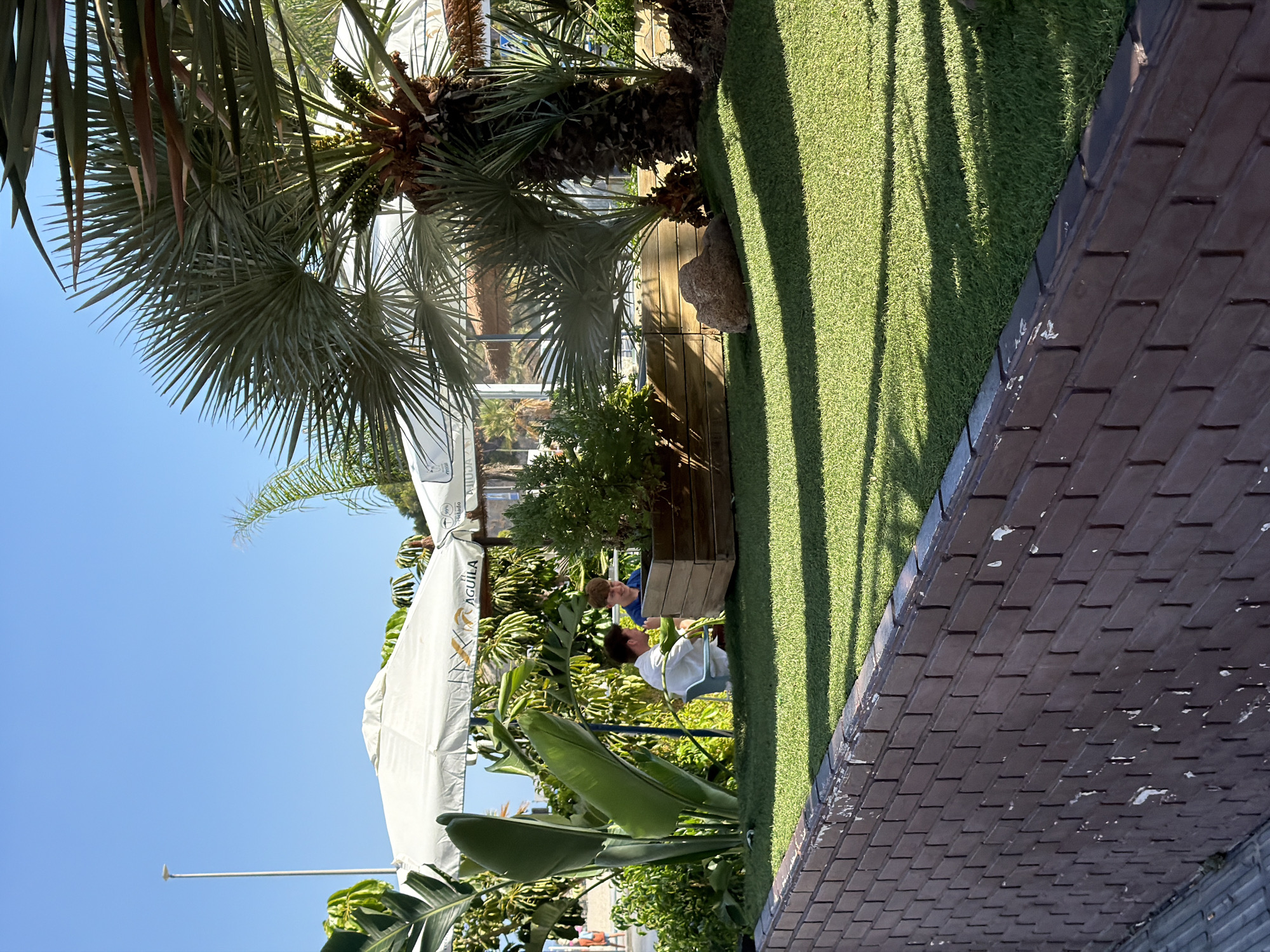 Two young men are seated at a table in an outdoor seating area, partially shaded by a large white umbrella. One man, wearing a blue t-shirt, is looking at the other who is wearing a white t-shirt and jeans. The background features lush greenery, including palm trees and large-leafed plants. An artificial turf lawn is visible to the right, with shadows cast from overhead trees. A brick pathway runs along the edge of the lawn. The setting appears to be a casual outdoor cafe or restaurant, possibly in a Mediterranean climate given the vegetation and clear blue sky. The time of day is clearly daytime, with bright sunlight. Text visible on the umbrella includes "AGUILA" and "JULIO". The scene evokes a relaxed atmosphere.